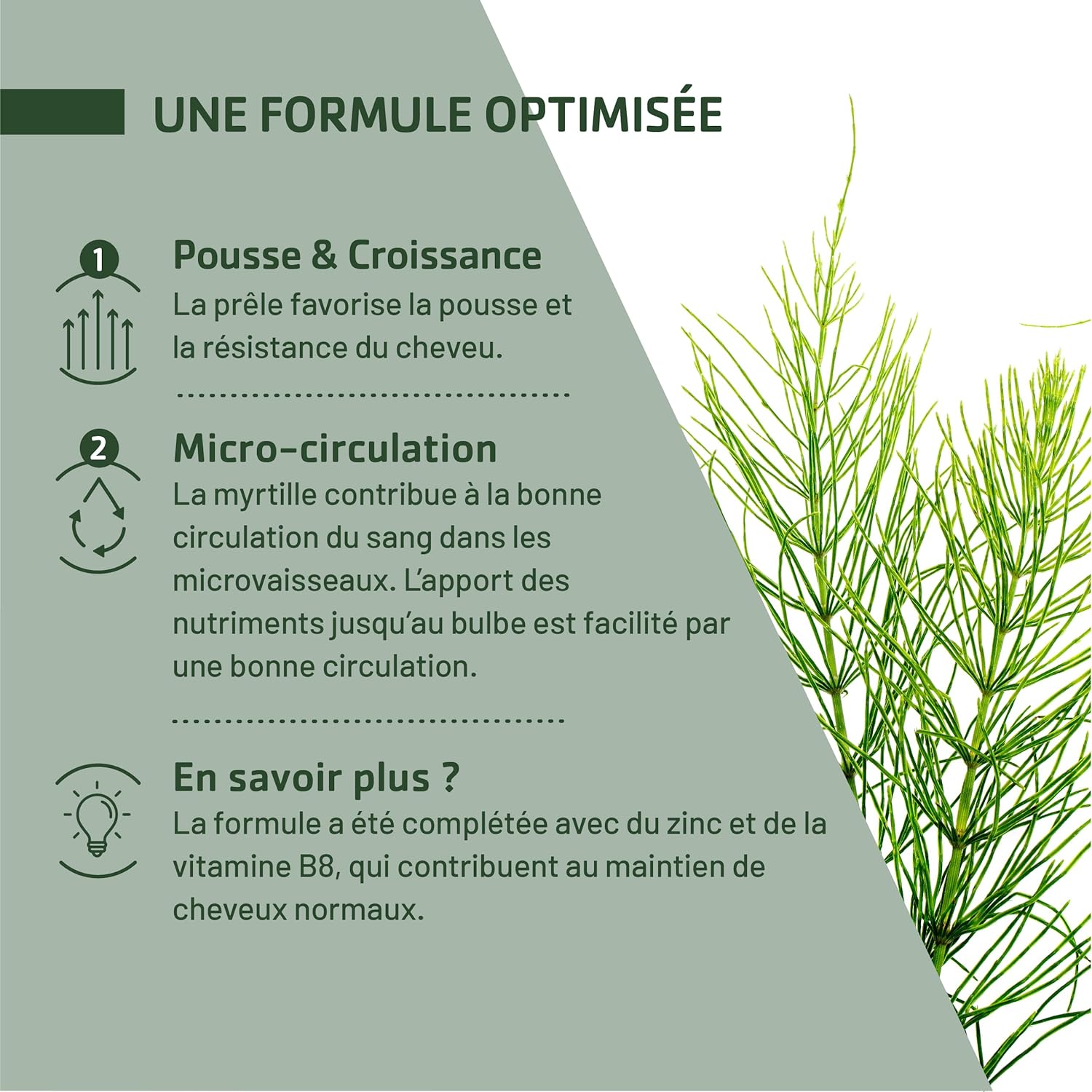 JUVAMINE - Hair Loss: Growth + Growth - 6 Beauty Actives including Zinc and Biotin - Promotes Hair Growth and Resistance - 1 Month Program - 30 Tablets - Made in France - Image 6