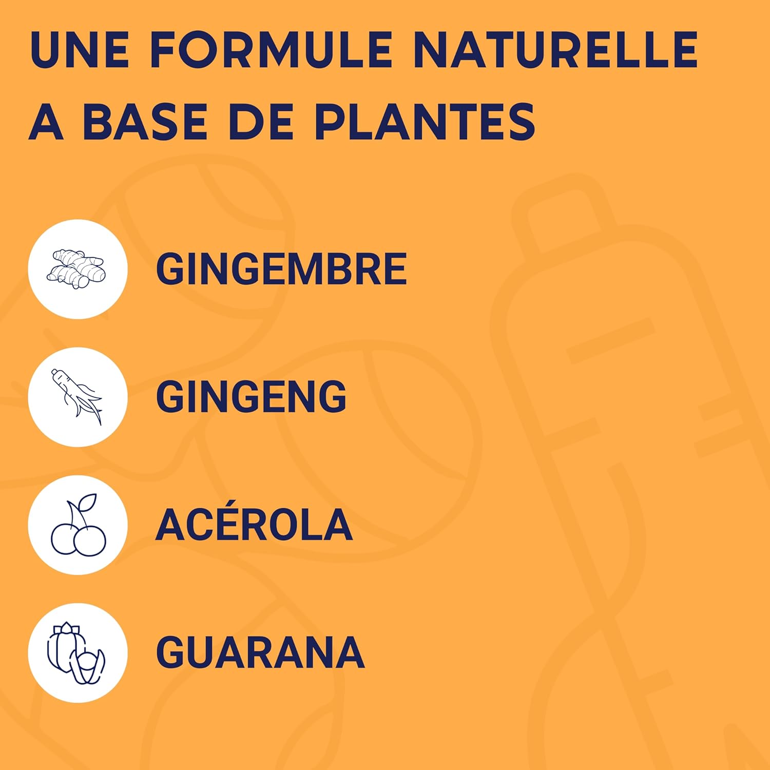 BOOST ORGANIC FORMULA | 4G: Ginseng, Royal Jelly, Guarana, Ginger + Acerola | Anti-Fatigue Food Supplement | Immunity and Energy | Made in France - Image 5