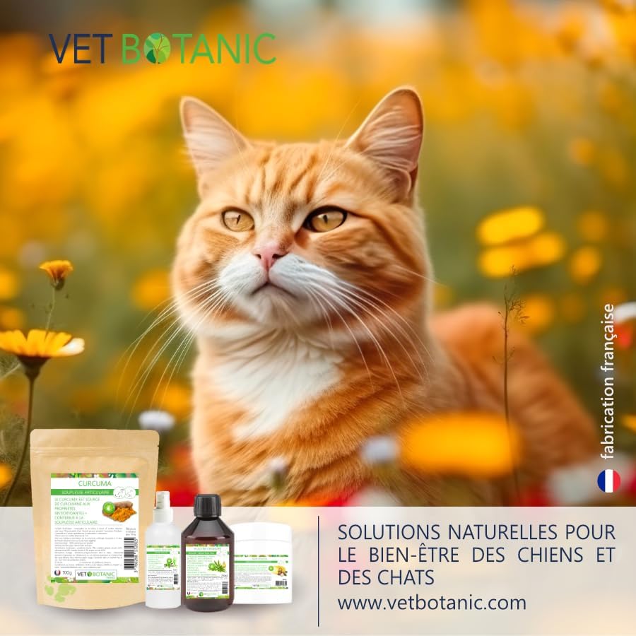 Artichoke Powder, Detox Drainage Dogs and Cats, 100 g, - Image 6
