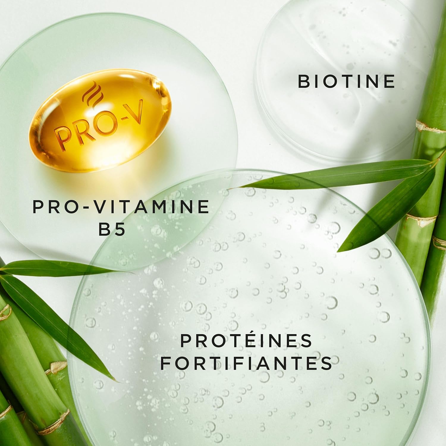 Pantene Biotin and Bamboo Conditioner Grow Strong Helps Reduce Hair Loss and Promote Growth For Dry and Damaged Hair Pro V Miracles Collection XL with Pump 1 Litre - Image 6