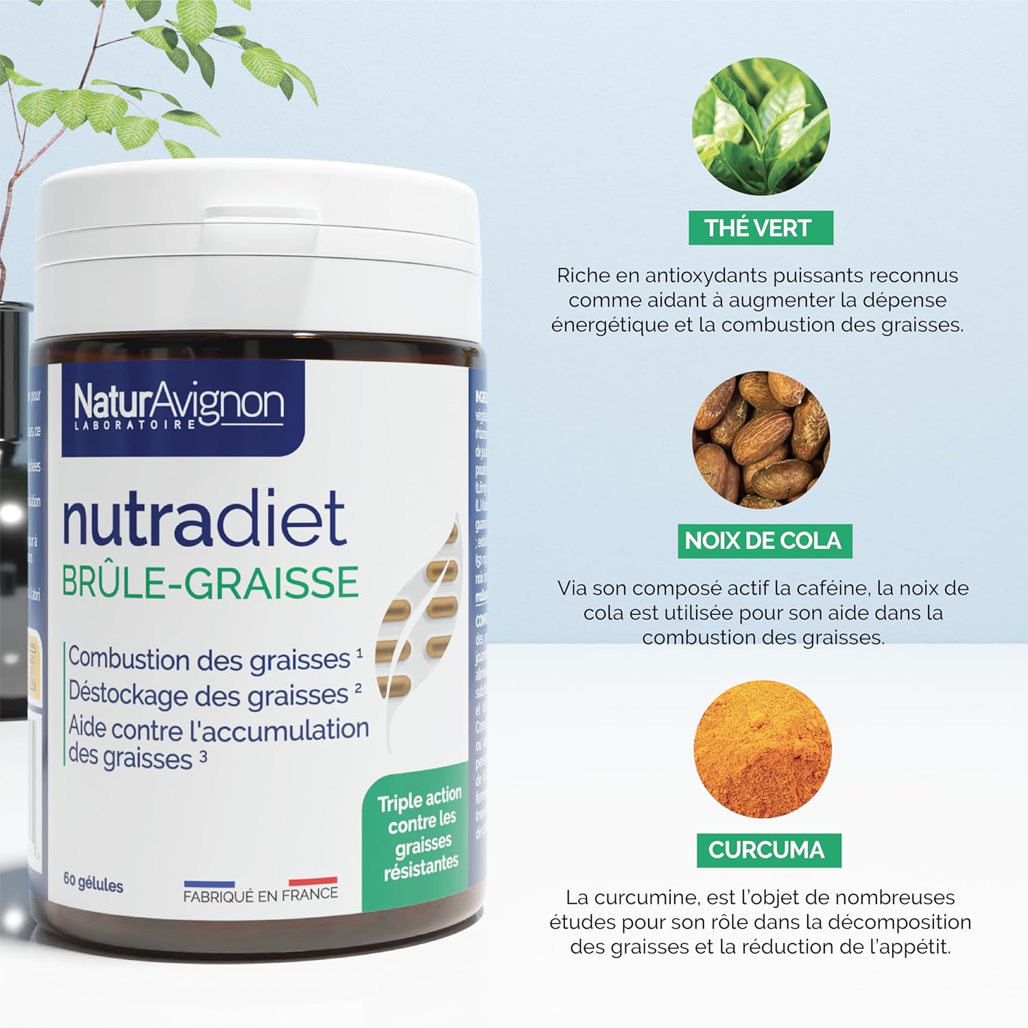 NaturAvignon Detox & Fat Burner Set | Liver Kidney Intestine Detox + Nutradiet | Drainage, Digestion, Metabolism, Fat Management | Black Radish, Birch, Organic Lemon, Green Tea, Turmeric, C Nuts - Image 4
