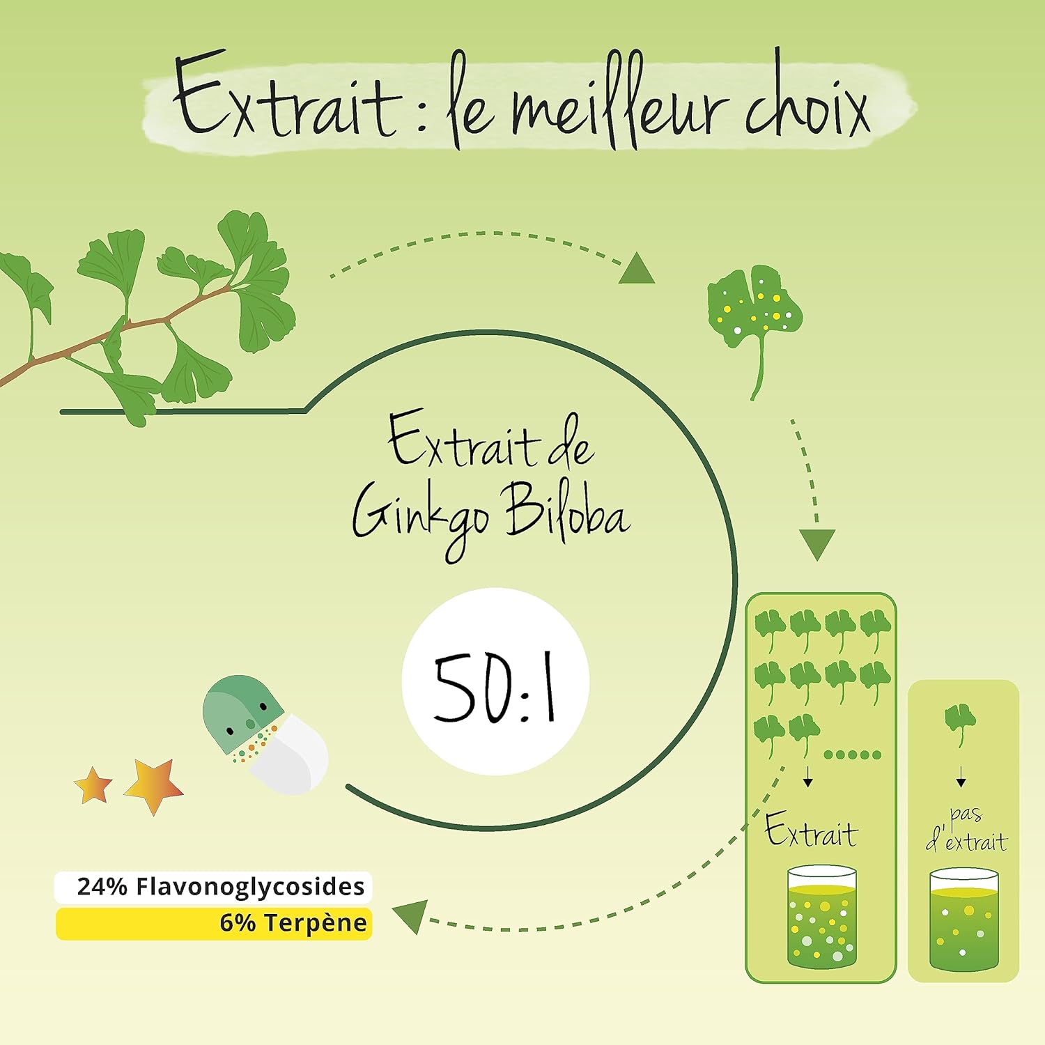 Ginkgo Biloba | Extra Strength: 6000mg | Memory + Blood Circulation | 180 Capsules | Single: 24% Flavone Glycosides + 6% Terpene Lactones | Vegan & No Additives | Vegavero - Image 5
