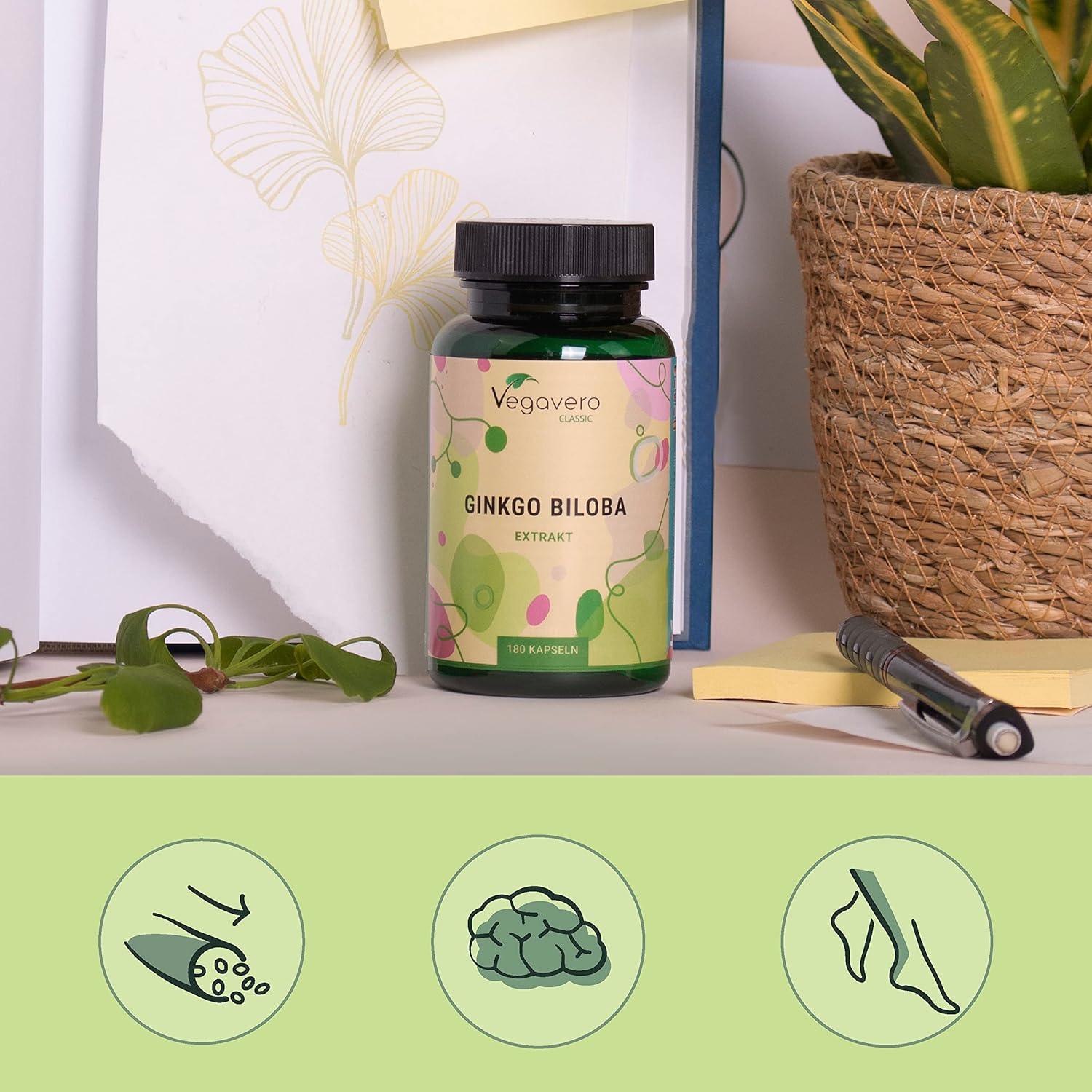 Ginkgo Biloba | Extra Strength: 6000mg | Memory + Blood Circulation | 180 Capsules | Single: 24% Flavone Glycosides + 6% Terpene Lactones | Vegan & No Additives | Vegavero - Image 7
