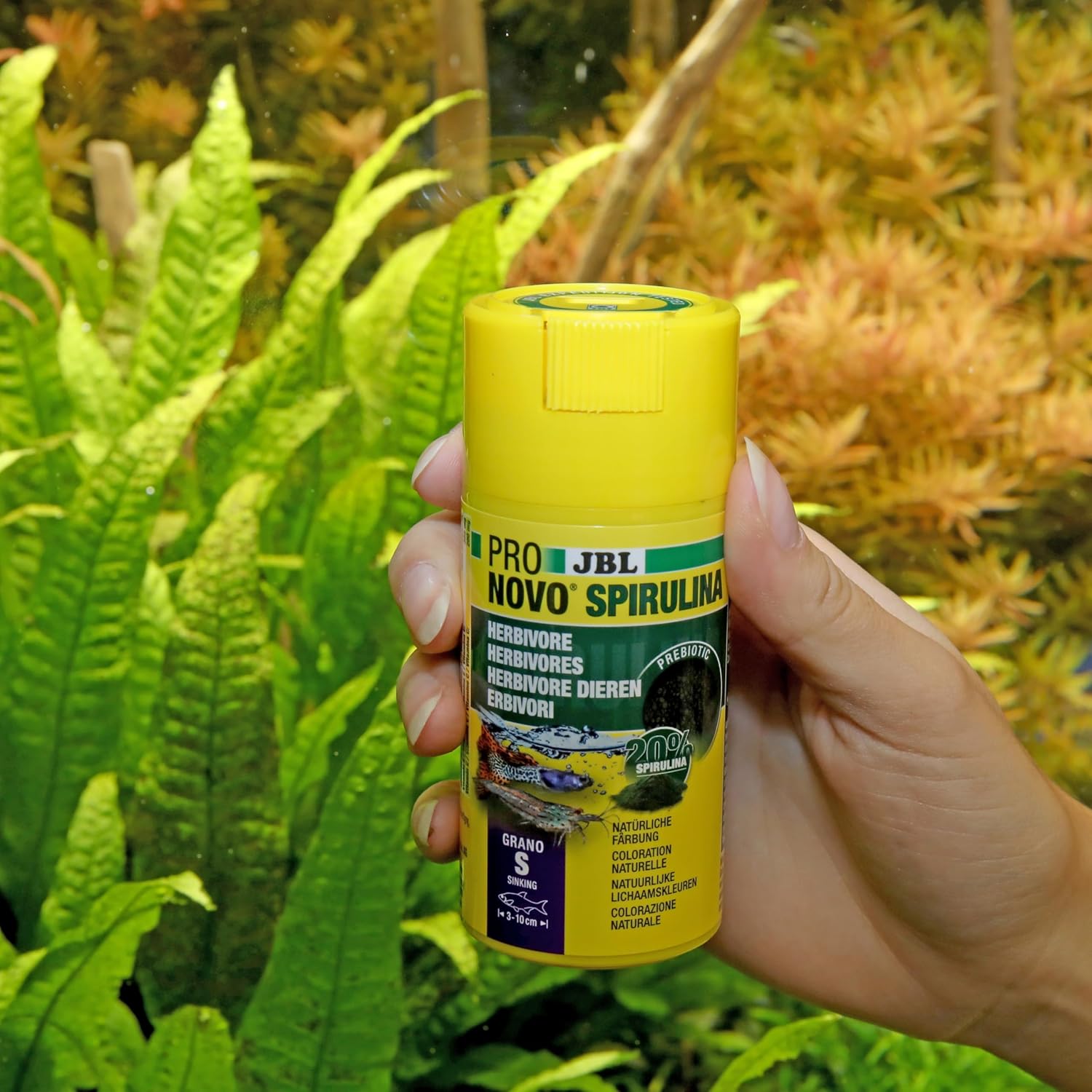 JBL PRONOVO SPIRULINA GRANO S 100 ml CLICK - Image 6