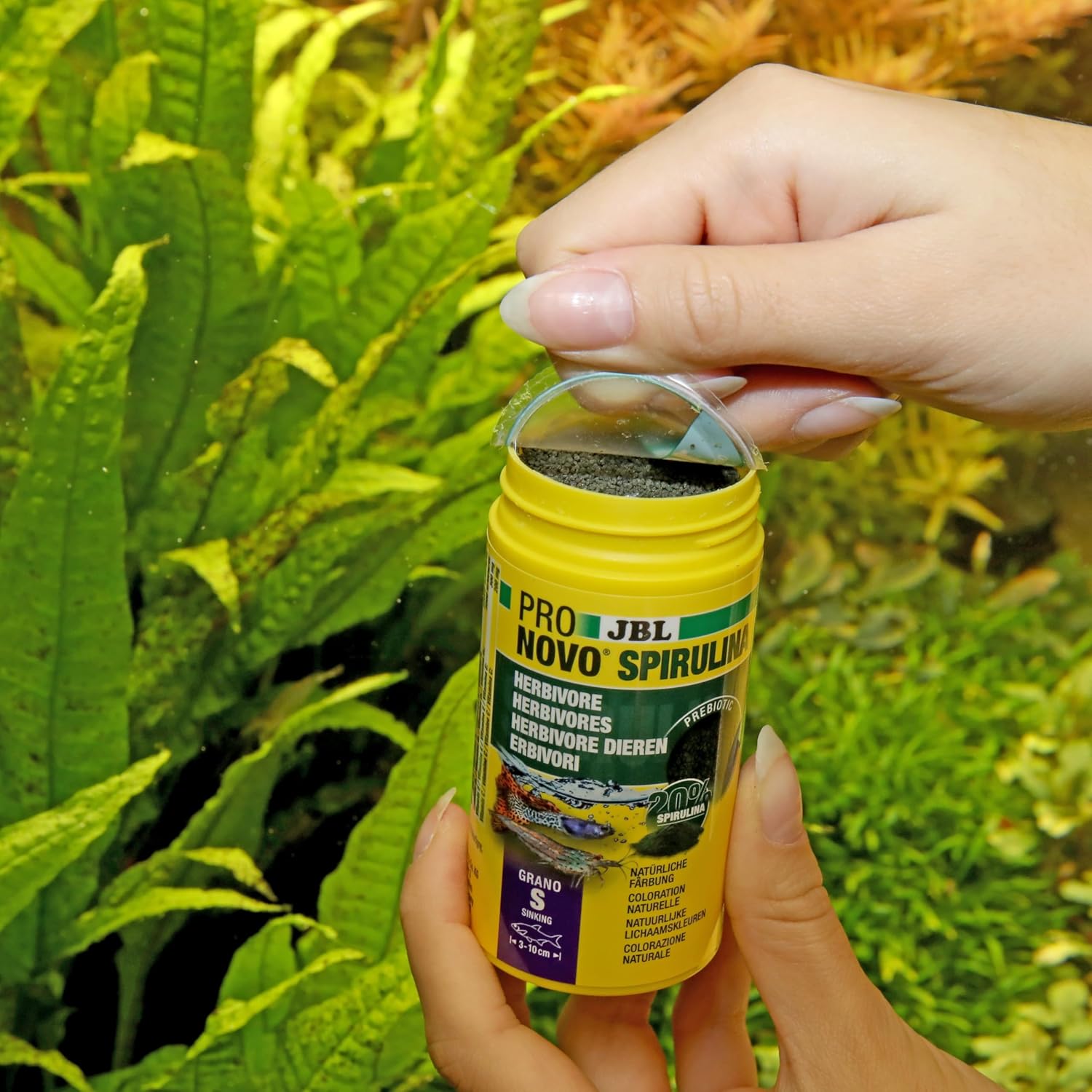 JBL PRONOVO SPIRULINA GRANO S 100 ml CLICK - Image 8