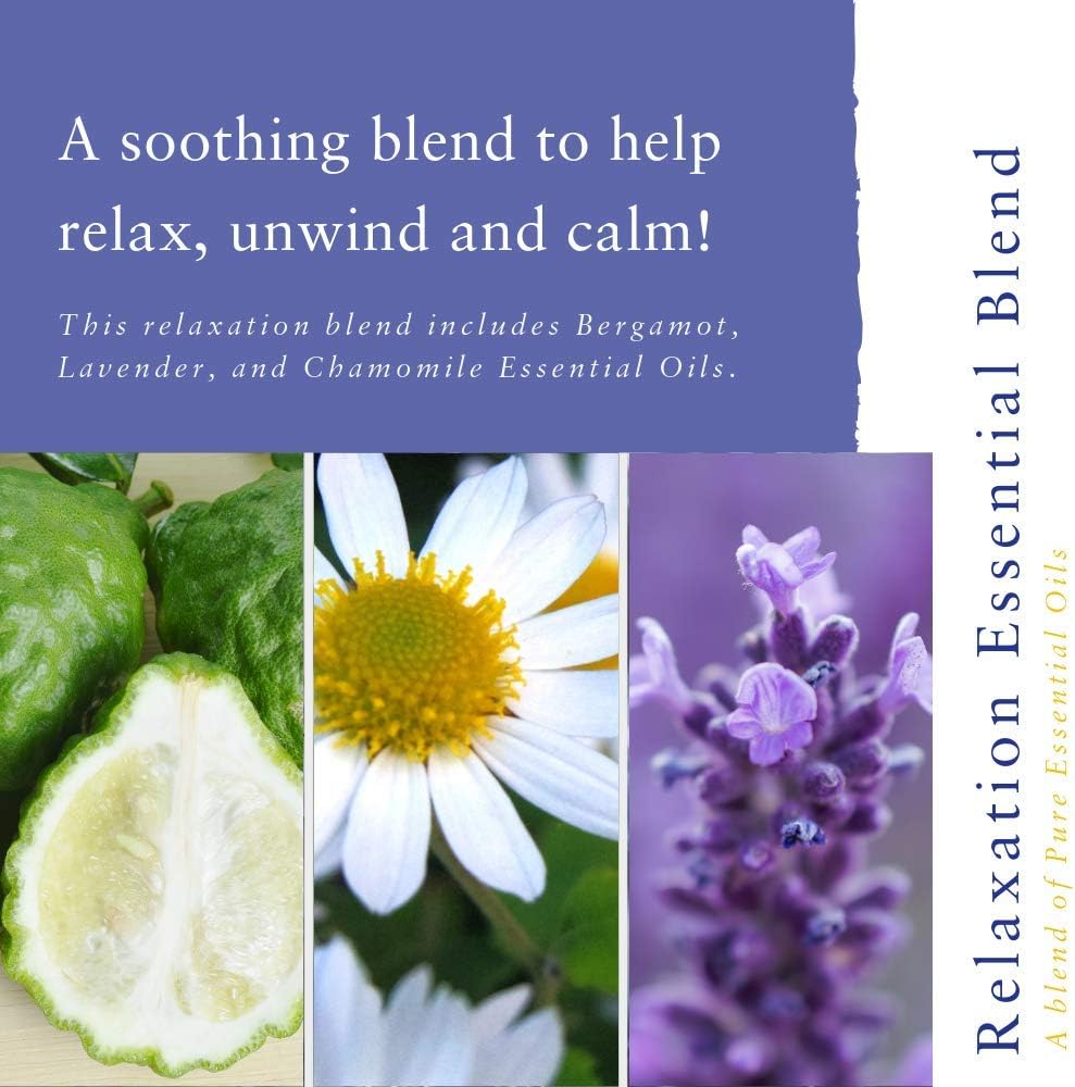 Absolute Aromas Relaxation Bath and Massage Oil 100 ml - Pure Essential Oils of Lavender, Chamomile and Bergamot in a base of Jojoba, Sweet Almond and Evening Primrose - Relaxing Massage Oil - Image 3