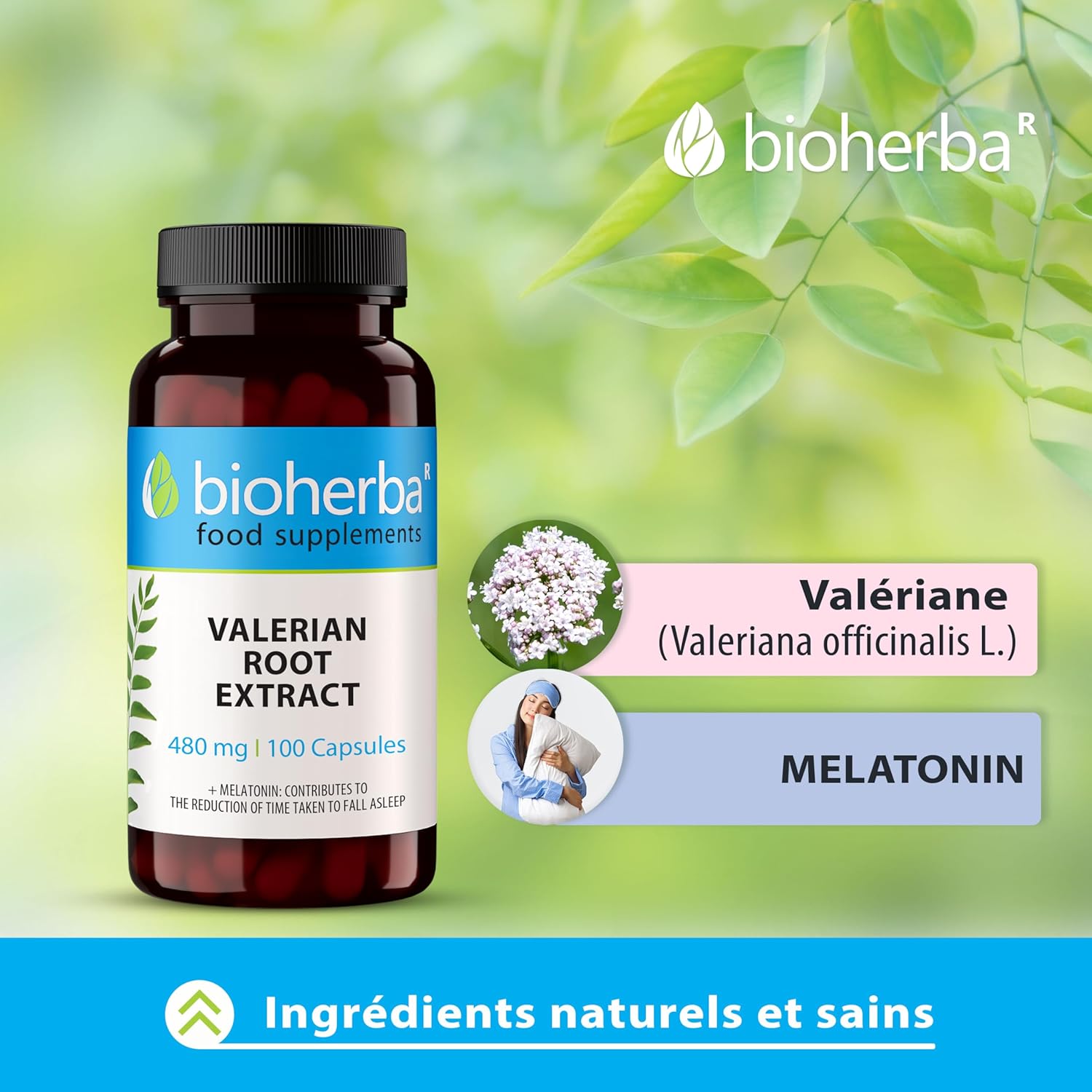 Valerian – 200 Capsules of 480 mg | Valerian Root and Melatonin – by BIOHERBA - Image 4