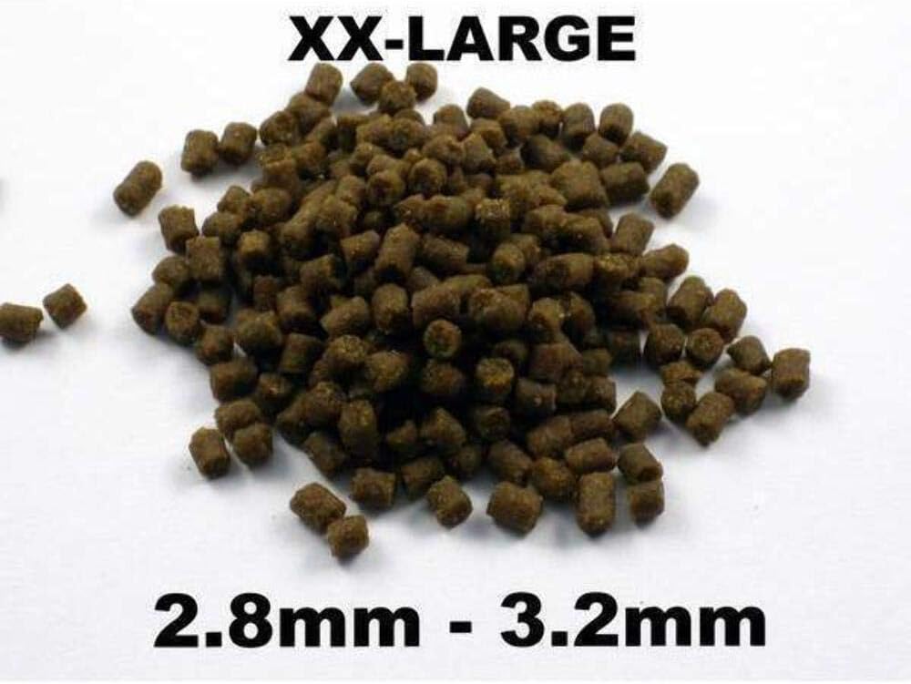 Aquarium Münster Dr. Bassleer Biofish Food Chlorella L 600 g - Image 6