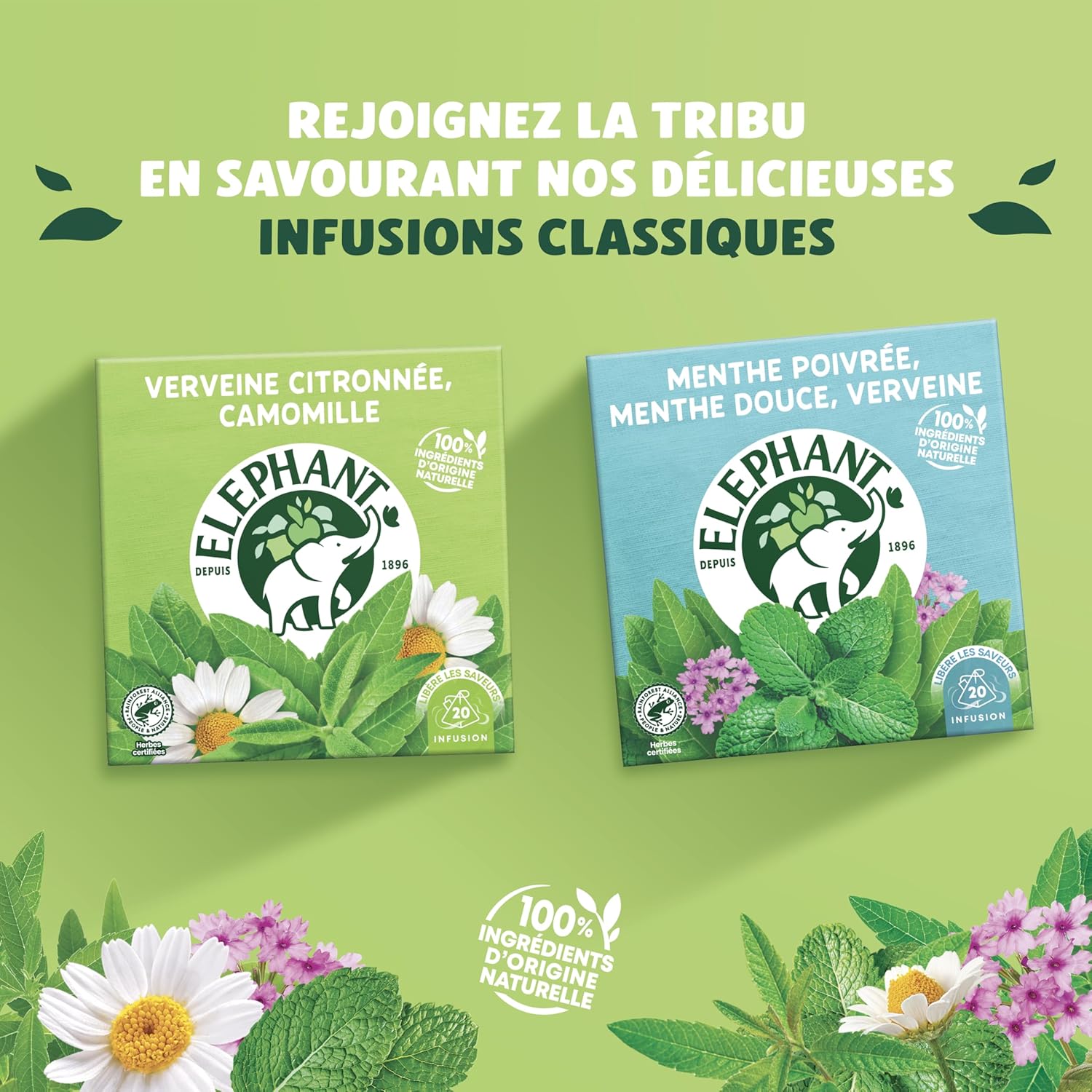 Elephant | Lemon Verbena Infusion, Chamomile | 20 Pyramid® Herbal Tea Bags | Wellness and Relaxation | 100% Natural Ingredients (Pack of 2) - Image 4