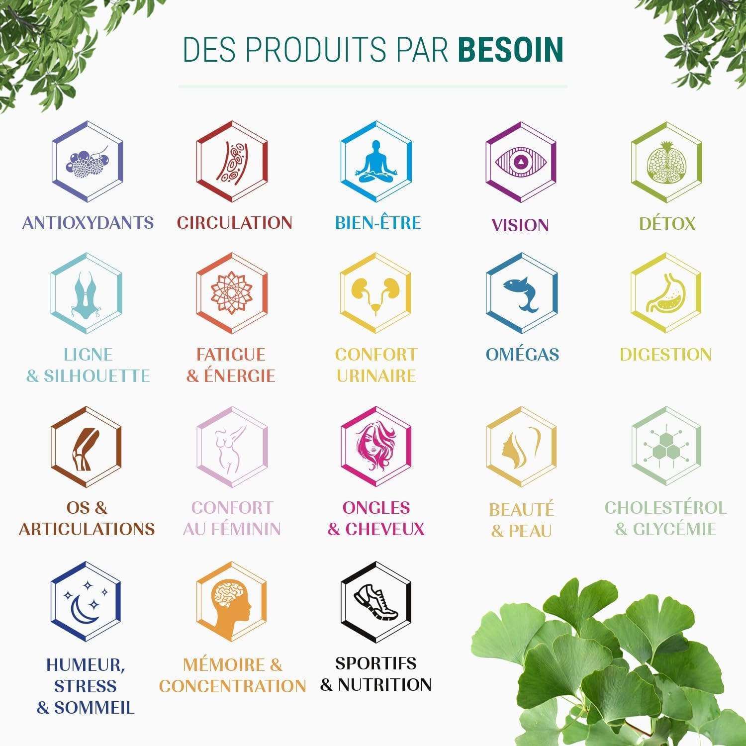 Herba MÉMOIRE - Brain Food Supplement - Memory, Concentration, Stress, Cognitive - Dry Extracts - 150 Capsules - Made in France - Vegan - No GMO Allergen Additives - Image 7