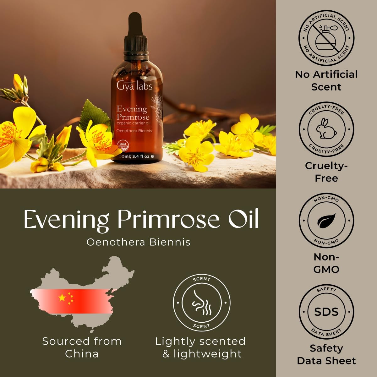 Gya Labs Organic Evening Primrose Oil for Dry Skin - 100% Pure & Natural Evening Primrose Oil for Hair Growth - Organic Cold Pressed Hydrating Evening Primrose Oil for Face (100ml) - Image 7
