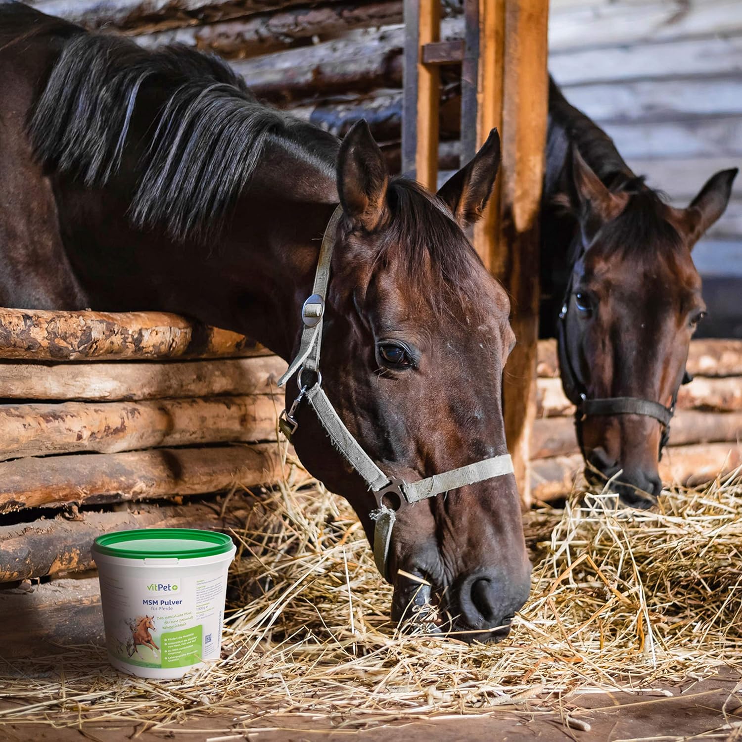 MSM Cheval - Premium MSM Horse Powder in 1.8kg Bucket with Measuring Spoon (Methylsulfonylmethane/Sulphur Powder for Horses and Dogs) - Image 3
