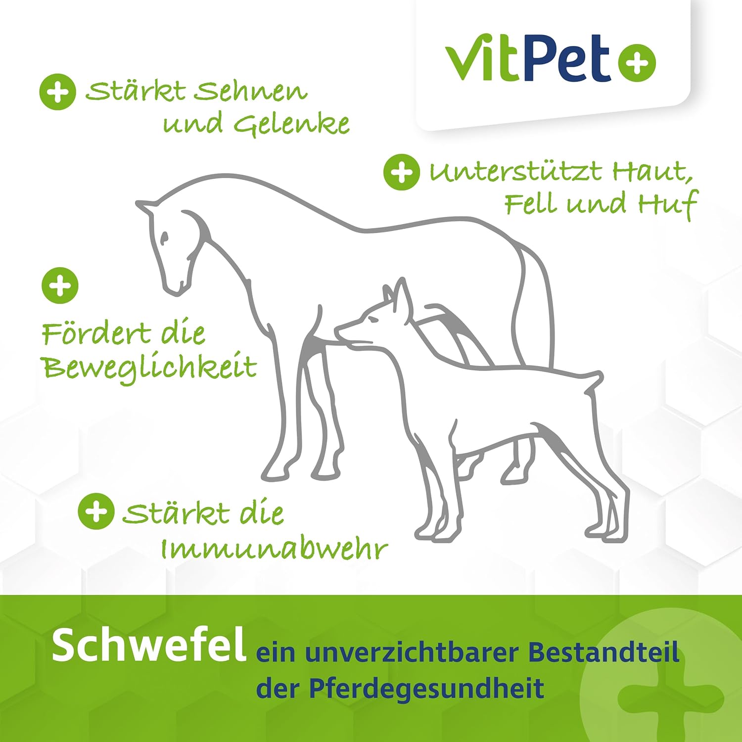 MSM Cheval - Premium MSM Horse Powder in 1.8kg Bucket with Measuring Spoon (Methylsulfonylmethane/Sulphur Powder for Horses and Dogs) - Image 5