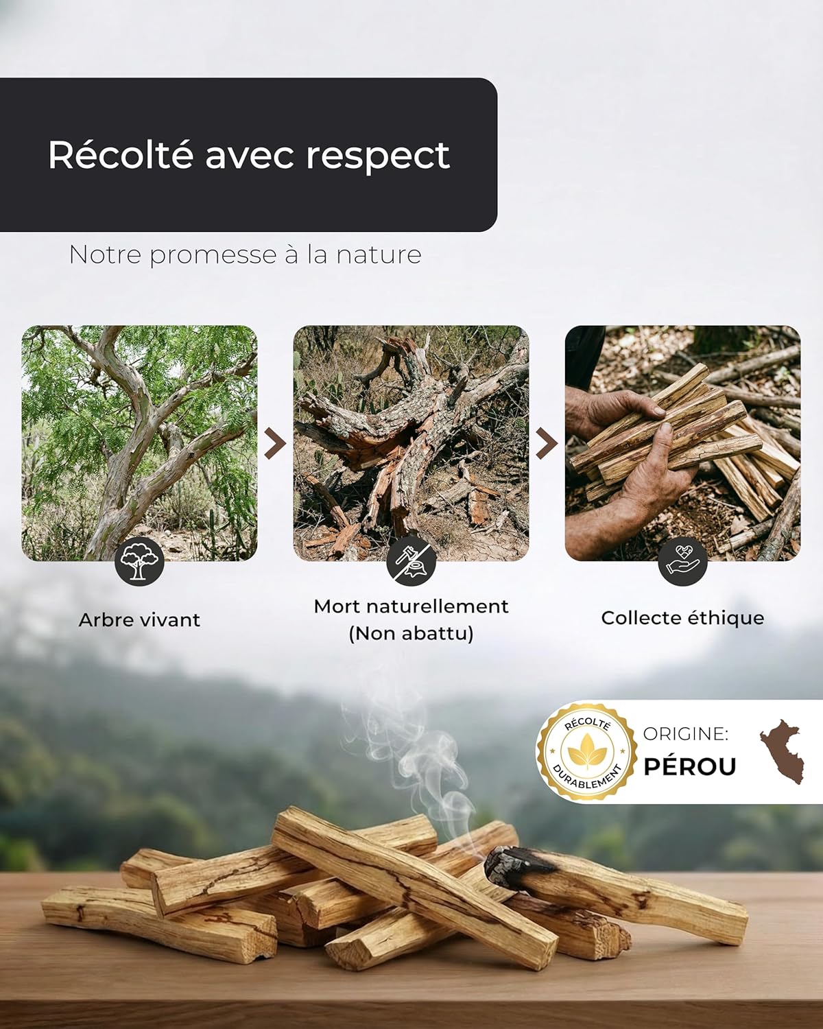 Incensera Palo Santo Wood - 8 Sticks of Natural Incense (10cm) - Palo Santo Incense for Spiritual Home Purification, Meditation & Aromatherapy - Sacred Wood From Sustainable Harvests - Image 6