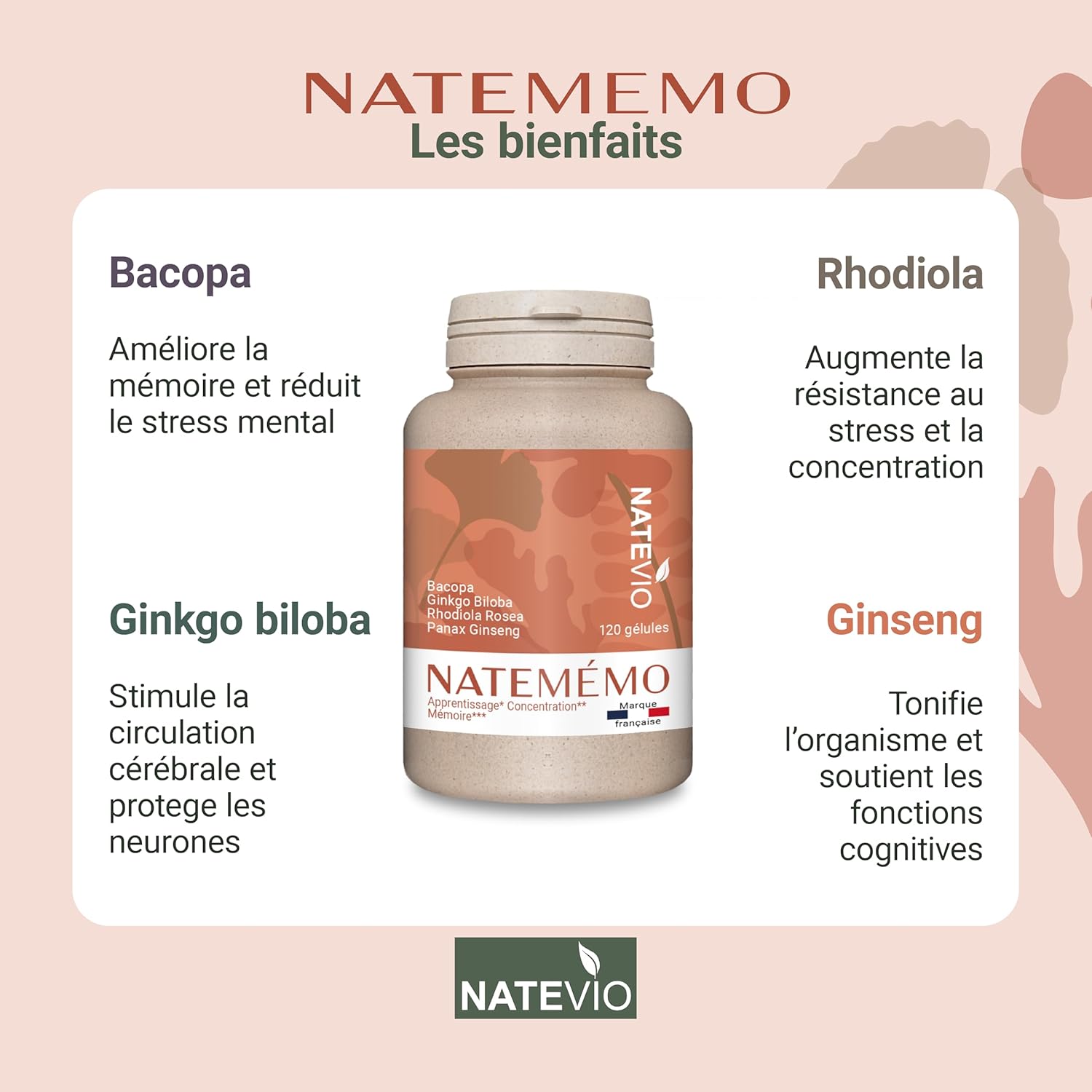 Natemémo – Memory & Concentration – Bacopa 500 mg, Ginkgo, Rhodiola, Ginseng – 120 Vegetable Capsules – Natural Food Supplement – Caffeine Free – Made in France - Image 3