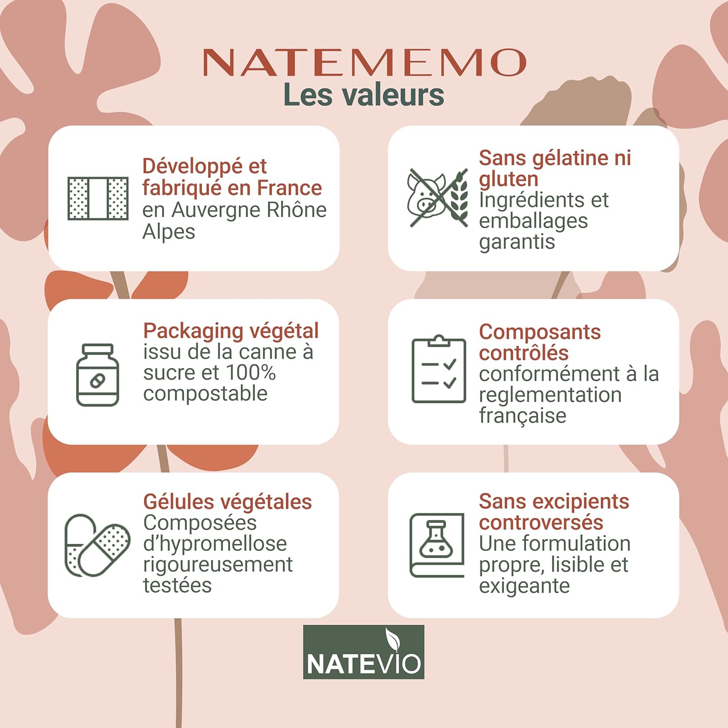 Natemémo – Memory & Concentration – Bacopa 500 mg, Ginkgo, Rhodiola, Ginseng – 120 Vegetable Capsules – Natural Food Supplement – Caffeine Free – Made in France - Image 5