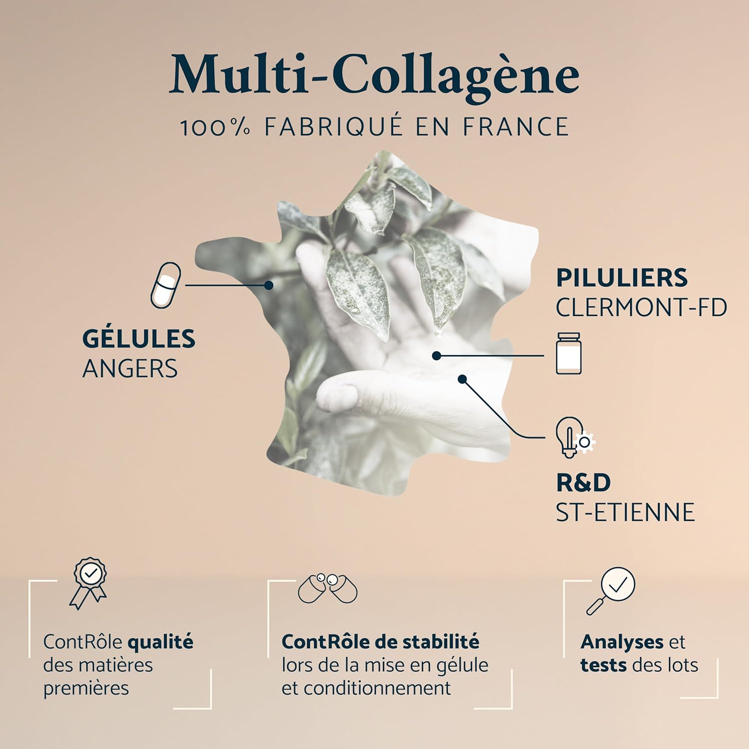 Apyforme - Patented Collagen + Hyaluronic Acid - 3 Patents and 16 Clinical Studies - 60 Gels - Made in France - Image 7
