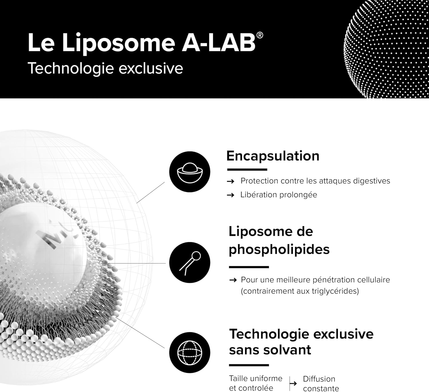 A-LAB Liposomal Vitamin C 1000 mg - Enhanced Assimilation - Vitality, Anti-Fatigue, Antioxidant Food Supplement - 60 capsules, 30 days taken - Made in France - Image 5