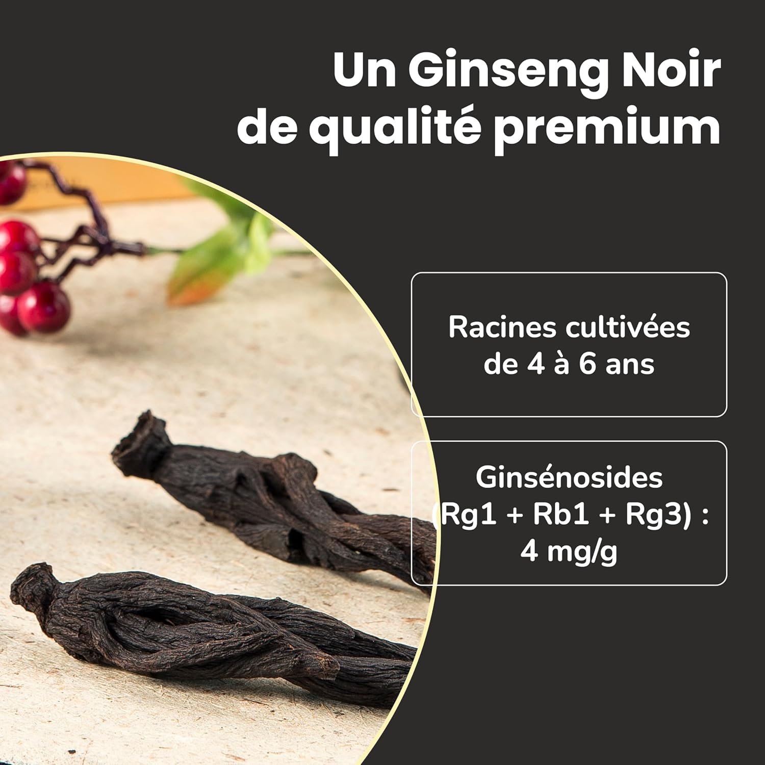 SAMSIDAE - Korean Black Ginseng Powder, Ginsenosides Rg1, Rb1, Rg3 = 4 mg/g, Memory and EnergyRoots 4 to 6 years, Superior Quality, 1 month cure, 110 g - Image 5