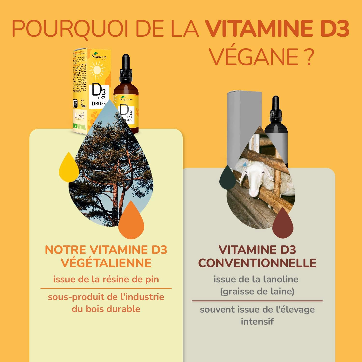 Vegavero Vitamin D3 K2 Drops | For 365 Days | Vegan | 1000 IU Vit D3 + Vit K2-MK7 | High Bioavailability and Dosage | Immunity + Teeth and Bone Health - Image 6