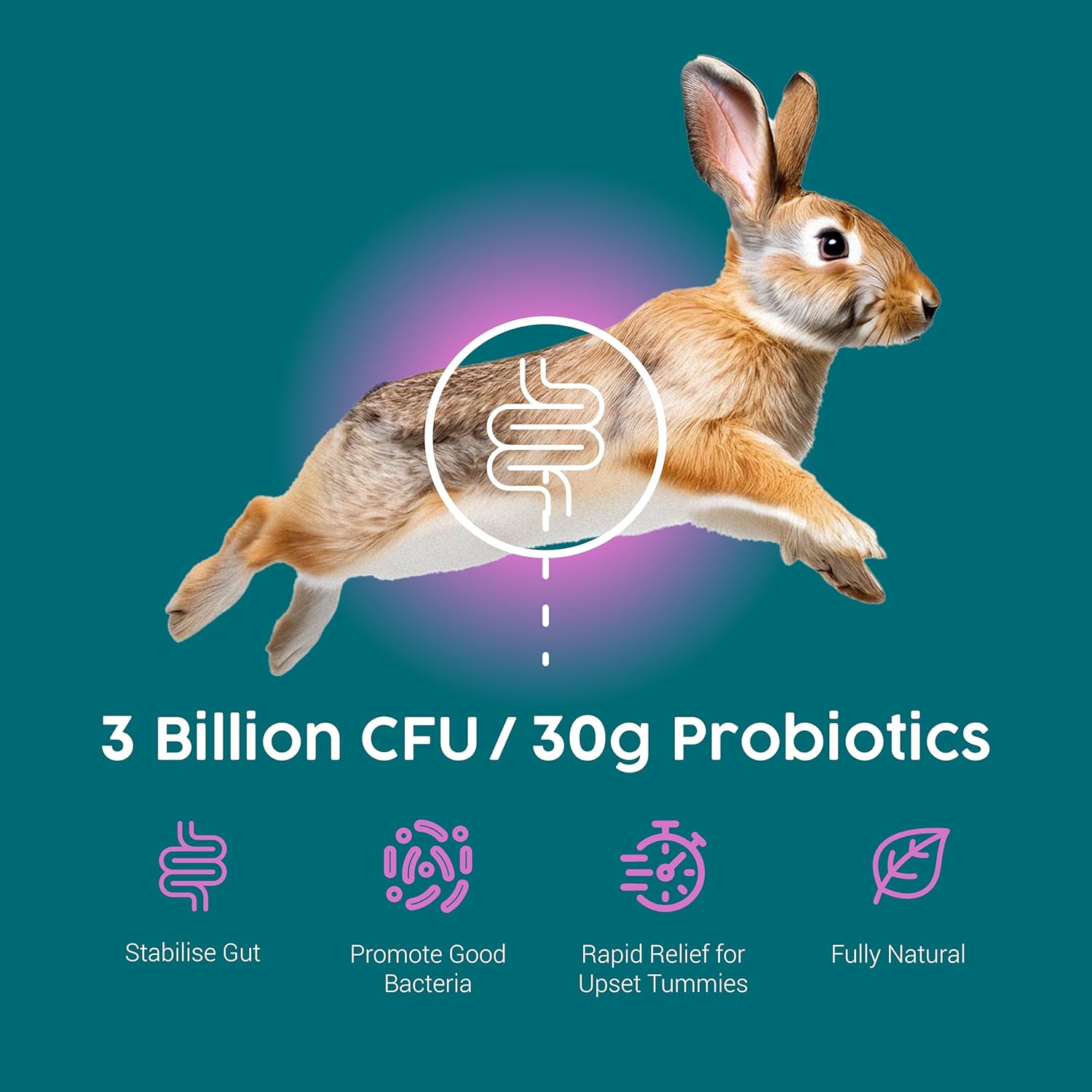 Protum Probiotic Rabbit Paste - Carrot Flavour for Guinea Pigs & Small Animals, Supports Gut Health, Digestive Balance, Accurate Syringe - Easy to Use, 15ml - Image 4