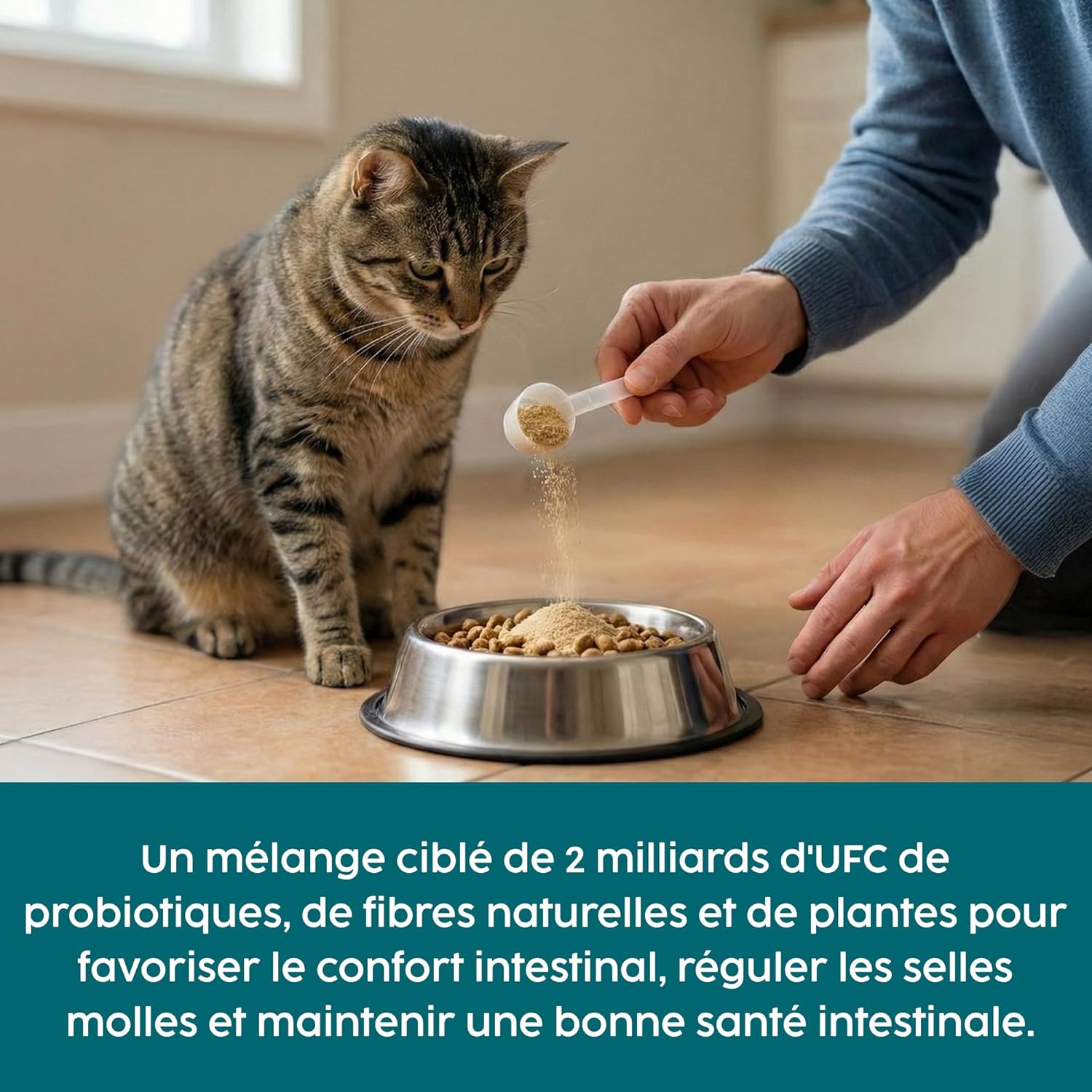 Probiotic Powder for Cats 100g - Digestive Care and Gut Health Support for Cats and Kittens, Probiotics for Cats Containing Enterococcus faecium - Image 3
