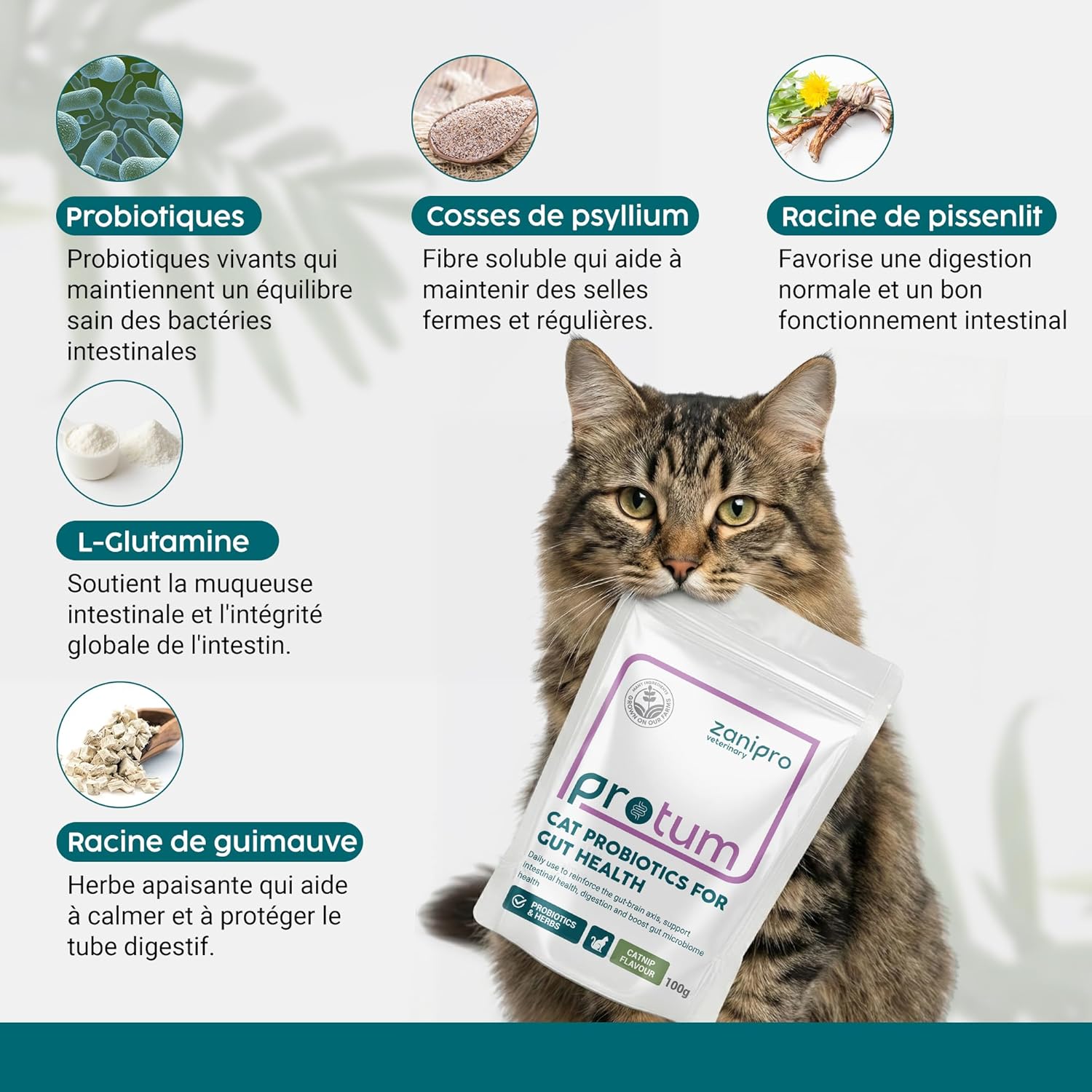 Probiotic Powder for Cats 100g - Digestive Care and Gut Health Support for Cats and Kittens, Probiotics for Cats Containing Enterococcus faecium - Image 5