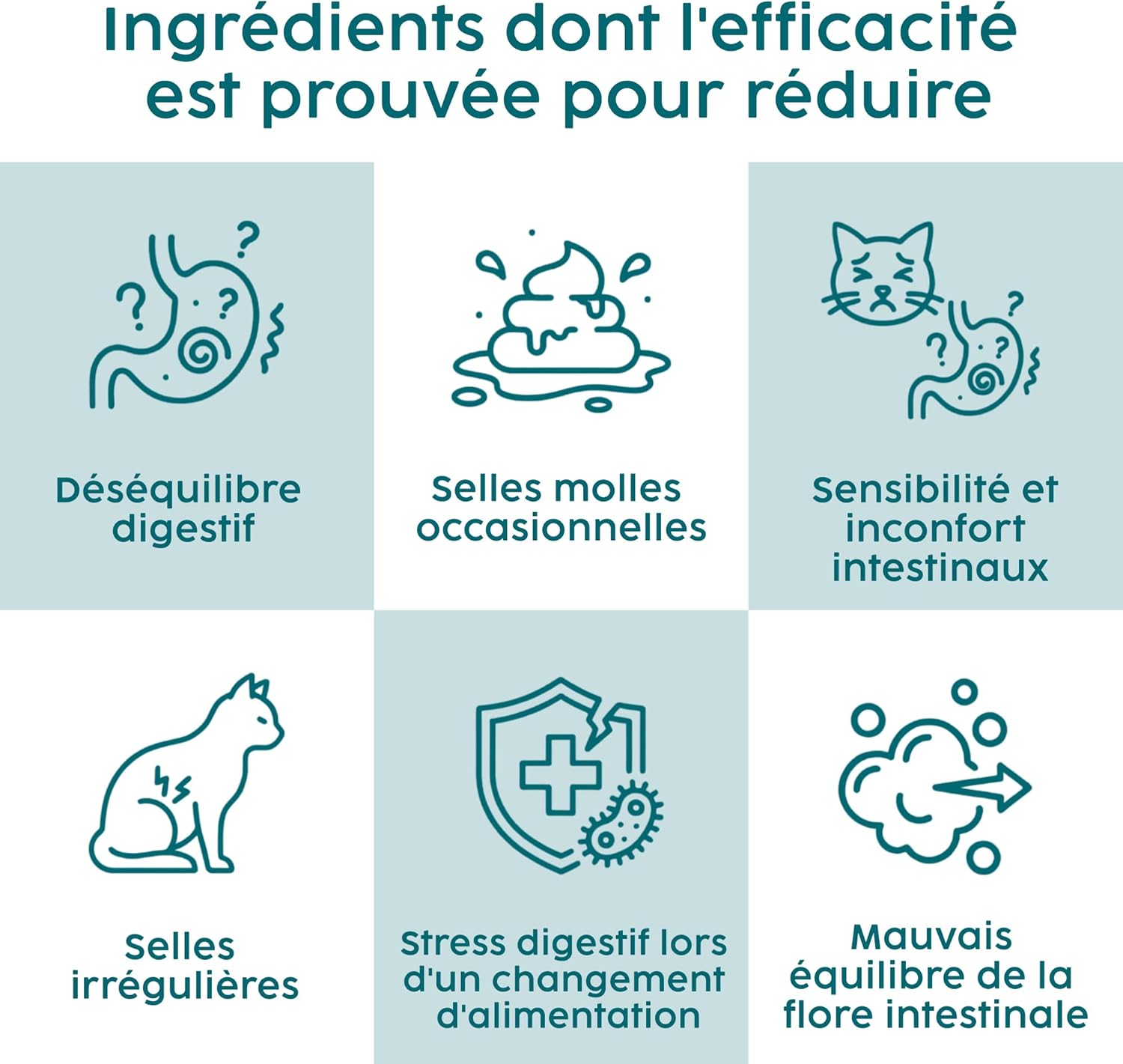 Probiotic Powder for Cats 100g - Digestive Care and Gut Health Support for Cats and Kittens, Probiotics for Cats Containing Enterococcus faecium - Image 7