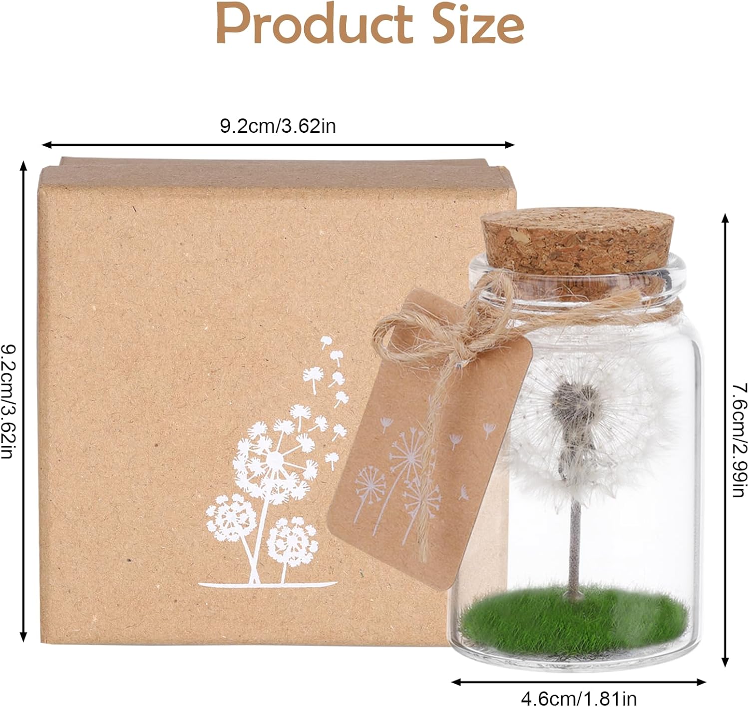 JIZZU Real LED Glass Dandelion Real Dandelion in Glass with Gift Box - Handmade - Birthday, Wedding, Mother's Day, Christmas Gift - Image 4