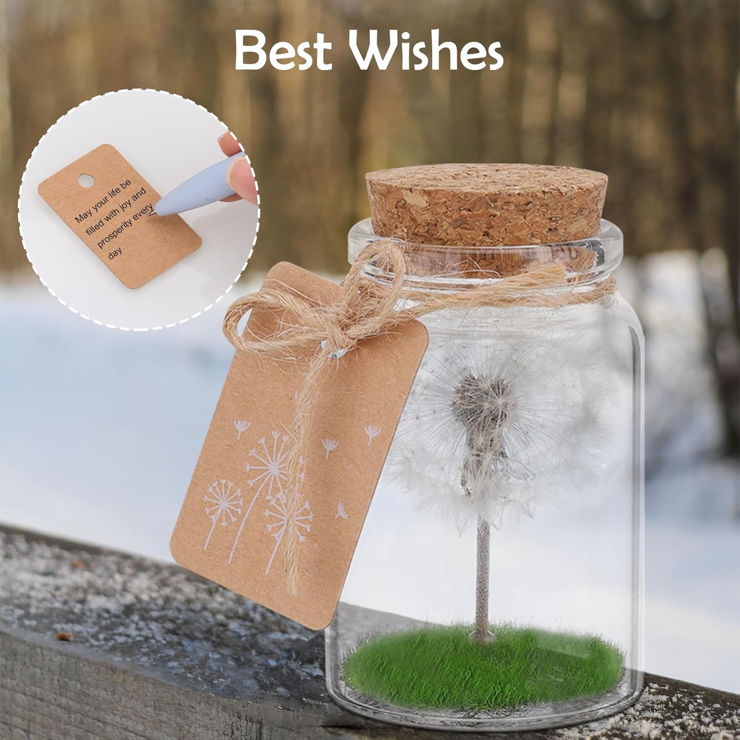 JIZZU Real LED Glass Dandelion Real Dandelion in Glass with Gift Box - Handmade - Birthday, Wedding, Mother's Day, Christmas Gift - Image 6