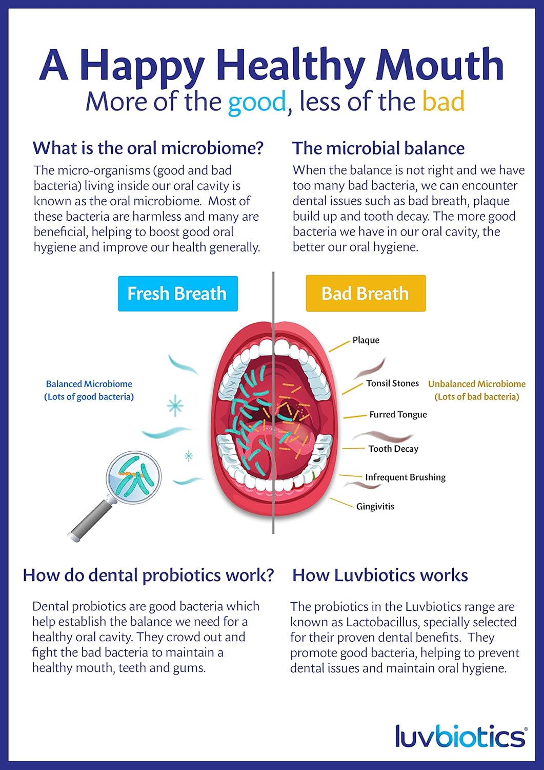 Luvbiotics Dentifrice Sans Fluor aux Probiotiques – Xylitol, Aloe Vera & Menthe Naturelle – Équilibre Microbiome Buccal, Protection Caries, Gencives Sensibles, Haleine Fraîche-75ml - Image 6