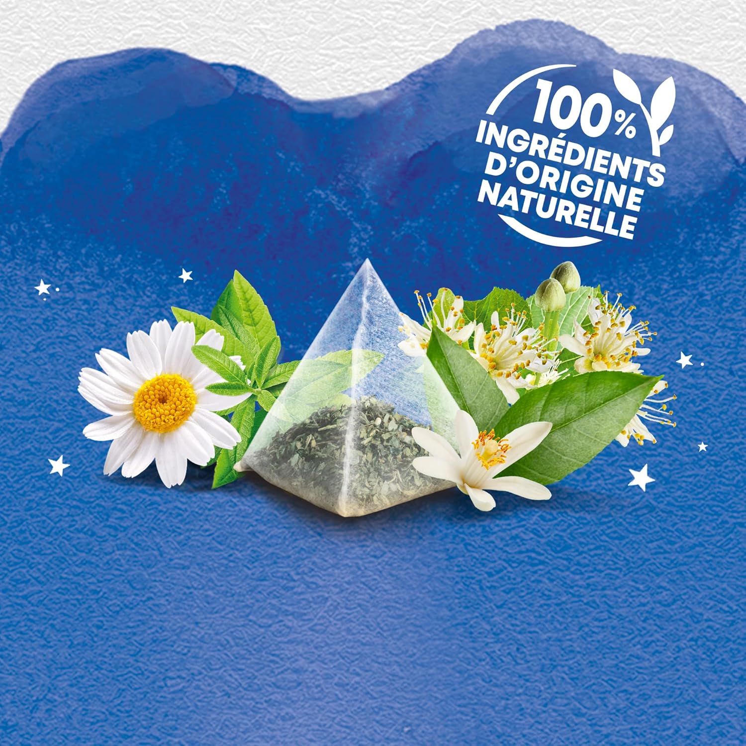 Elephant, Quiet Night Infusion, Verbena, Chamomile and Linden Taste, Rainforest Alliance Certified, 100% Natural Origin Ingredients, 20 Pyramid Sachets (Pack of 3) - Image 5