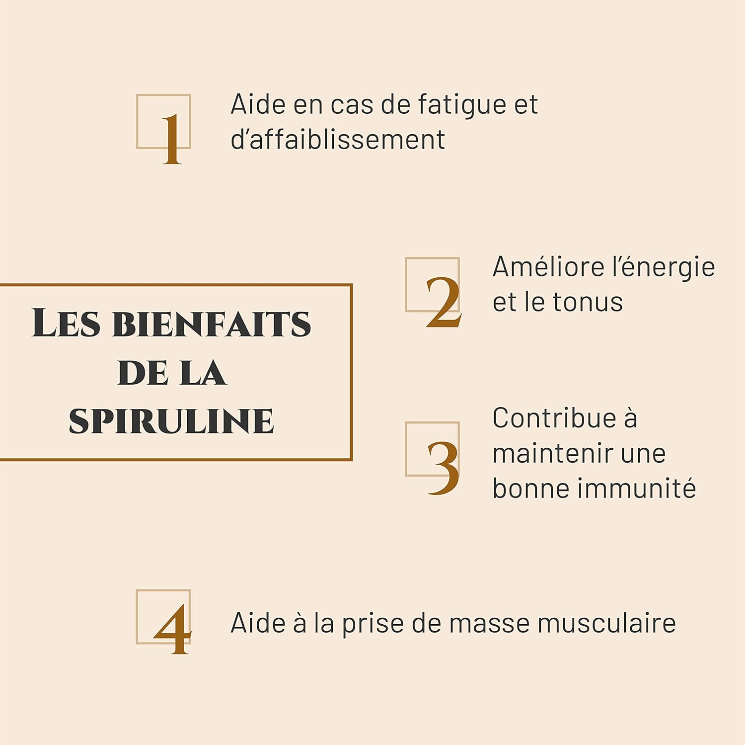 SPIRULINE - Horse nutritional supplement - Bucket 1 kg - Rich in proteins, vitamins, minerals - Energy - Vitality - Horse muscle mass - French brand - Image 5