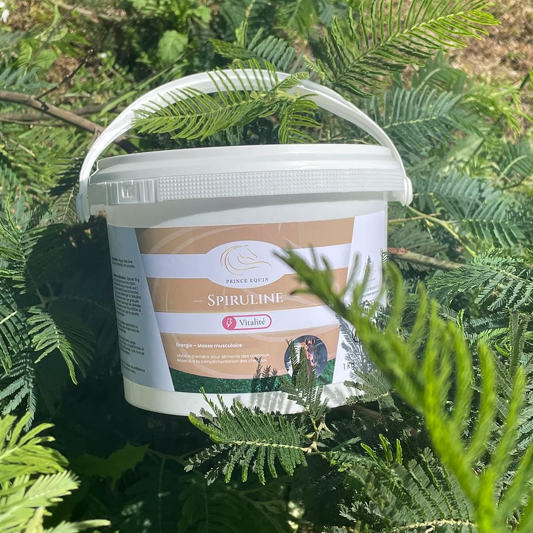 SPIRULINE - Horse nutritional supplement - Bucket 1 kg - Rich in proteins, vitamins, minerals - Energy - Vitality - Horse muscle mass - French brand - Image 7
