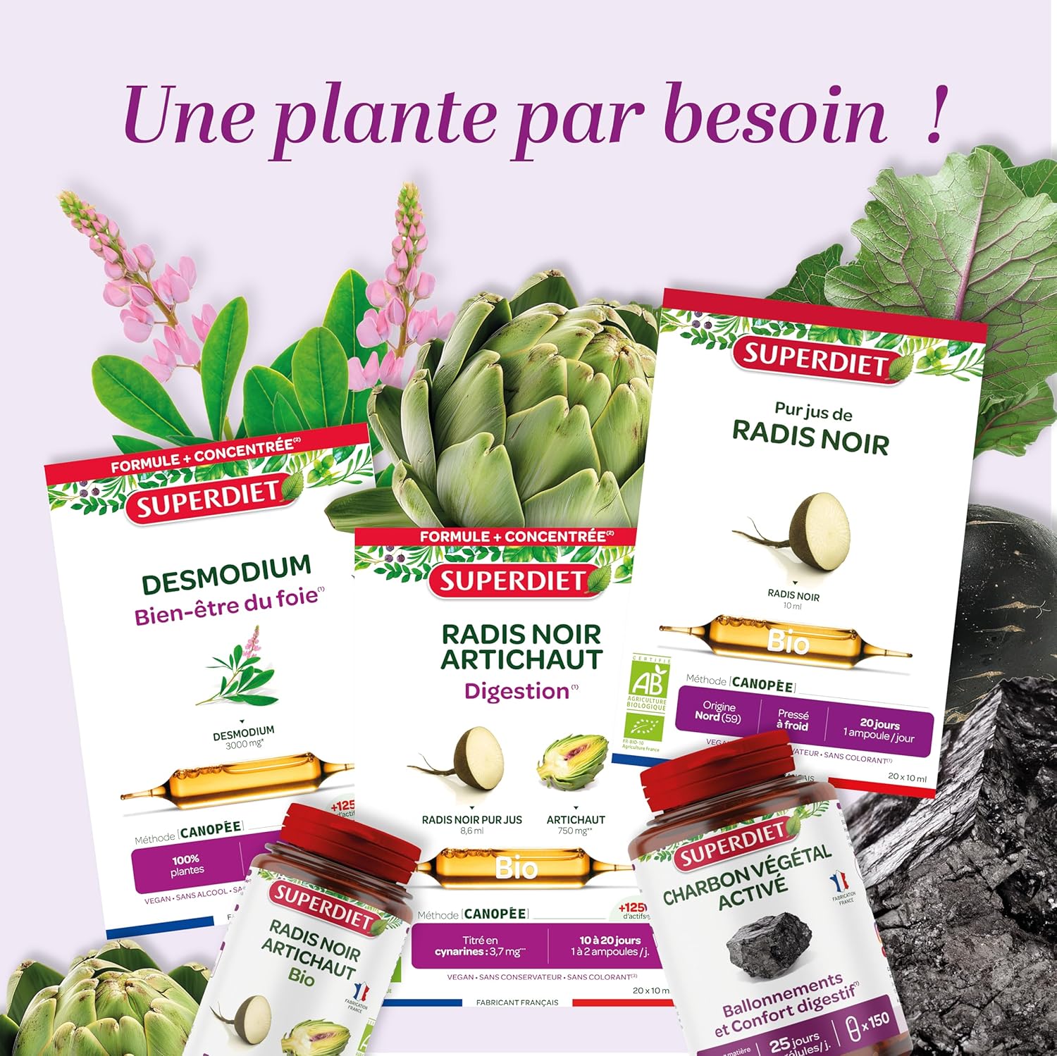 SUPERDIET - PURE ORGANIC BLACK RADIS JUICE - Cold pressed - Hauts-de-France manufacture - Phytotherapy - 20 ampoules of 10 ml - Image 8