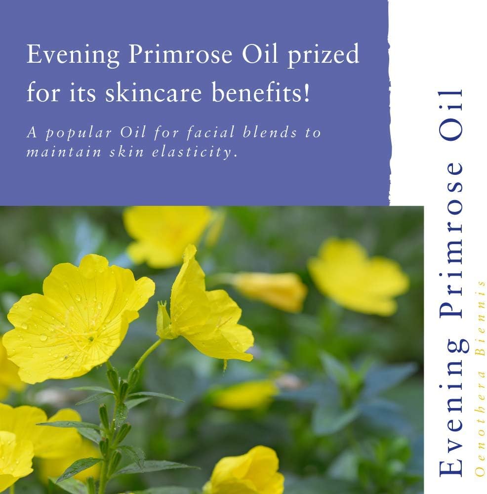 Aromas Absolute Evening Primrose Oil, 50 ml - Image 3