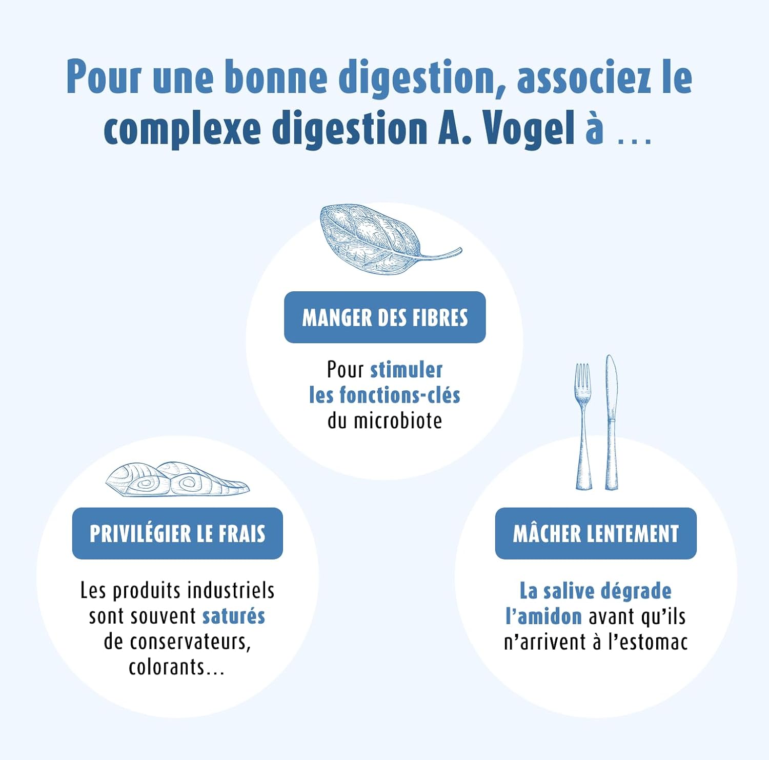 A.VOGEL - Dietary supplement digestion - Detox liver - Reduces bloating and acid reflux - Milk thistle, artichoke, dandelion plant extract - 100% natural - 60 tablets - Image 5