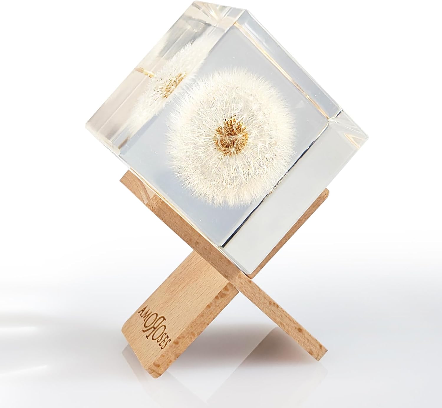 Amoroses WISH Real Dandelion Preserved in Clear Resin Cube, Head Flower in Elegant Packaging, Original Gift Idea for Decoration, Express a Wish - Image 2