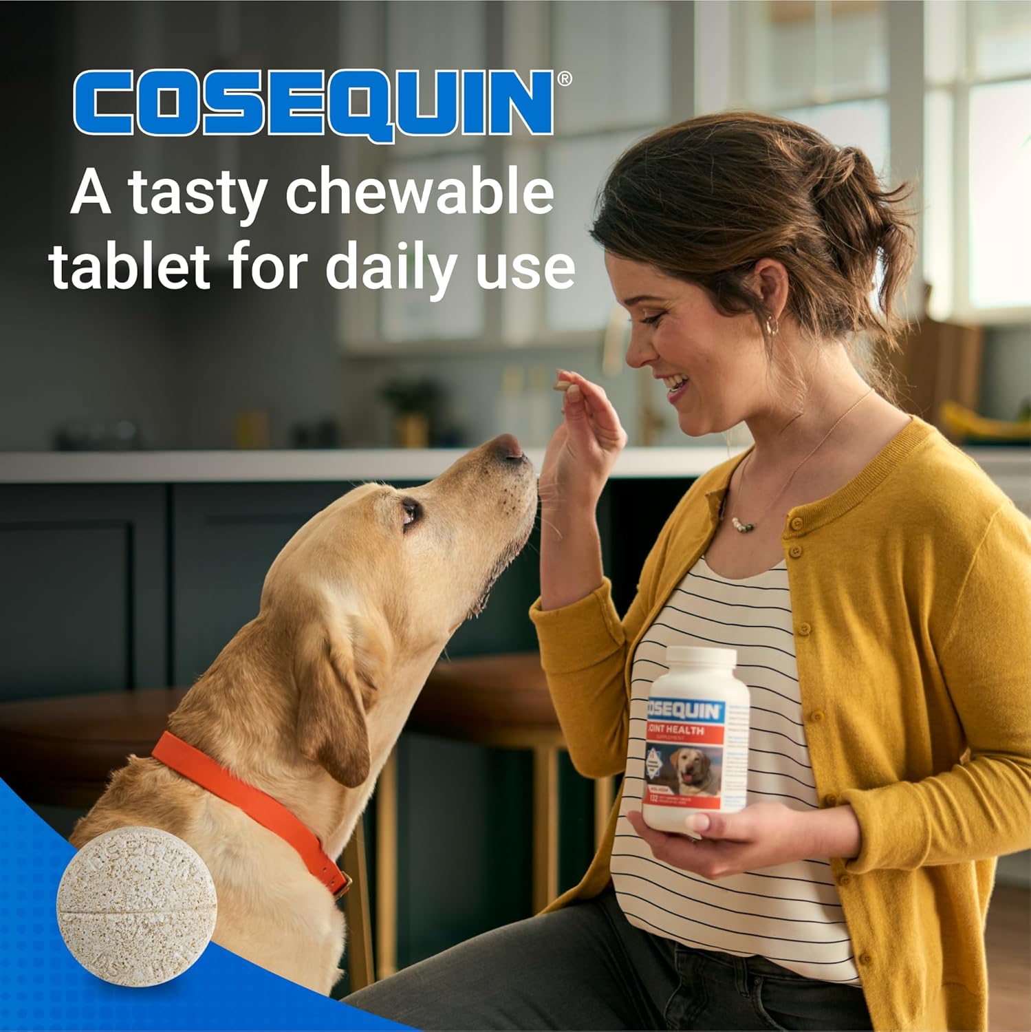 Nutramax -Cosequin 070077 Cosequin DS Plus MSM 60 Counting - Image 5