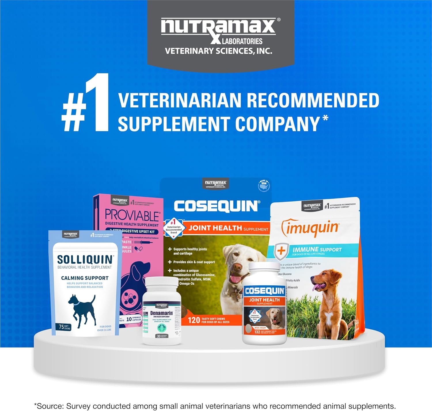 Nutramax -Cosequin 070077 Cosequin DS Plus MSM 60 Counting - Image 9