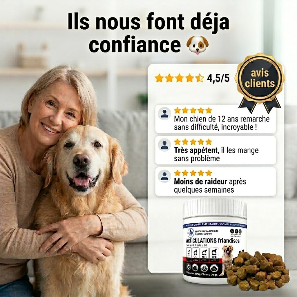 Dog Joint Treats – Relieves Stiffness & Pain – Glucosamine + Chondroitin – Improved Mobility in 30 Days – 90 Chicken Flavoured Bites – JAYZ - Image 6