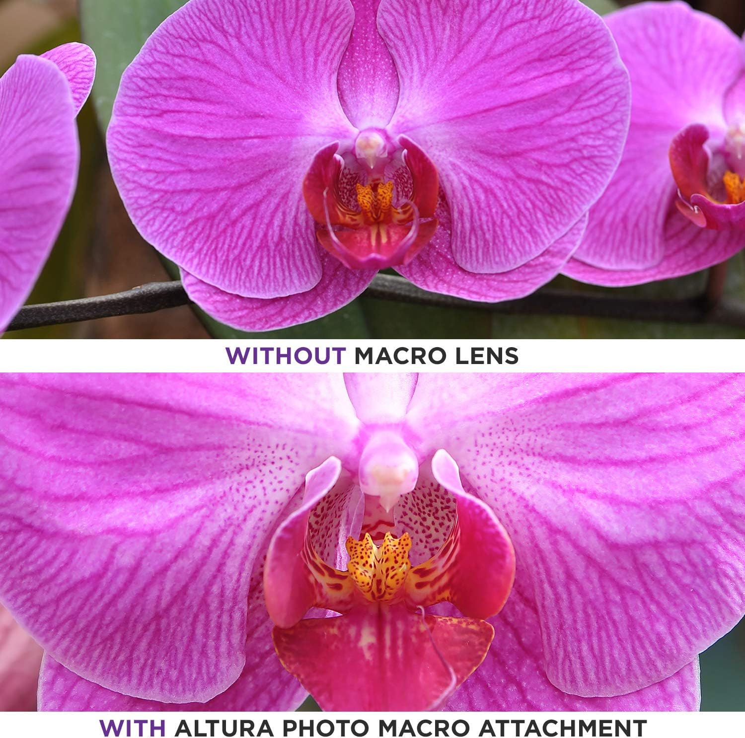 Altura 58mm 0.35 x 0.35 mm Wide Angle Lens with Portion Macro - Image 8