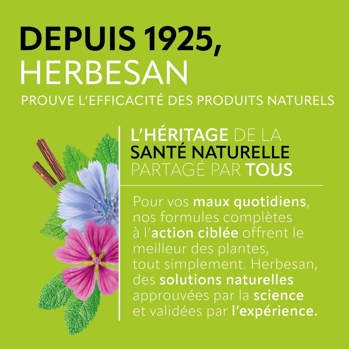 HERBESAN - EASY ORGANIC TRANSIT INFUSION - Mint flavour - Plastic-free - 100% organic plants - 20 paper bags - Image 6