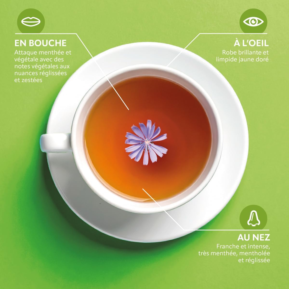 HERBESAN - EASY ORGANIC TRANSIT INFUSION - Mint flavour - Plastic-free - 100% organic plants - 20 paper bags - Image 7