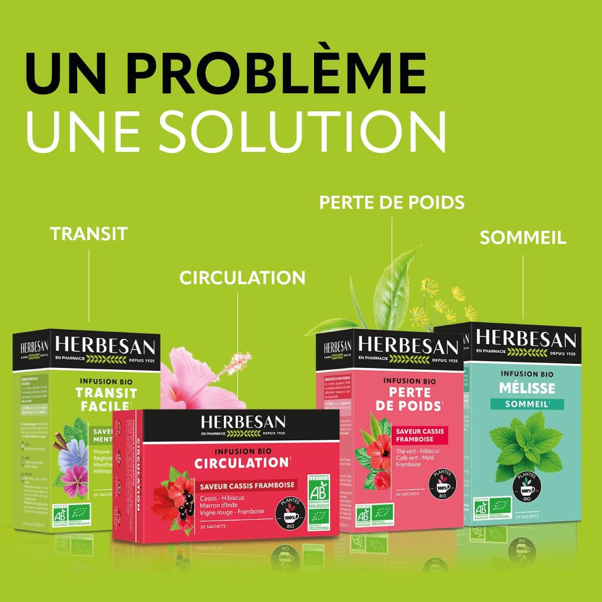 HERBESAN - EASY ORGANIC TRANSIT INFUSION - Mint flavour - Plastic-free - 100% organic plants - 20 paper bags - Image 8
