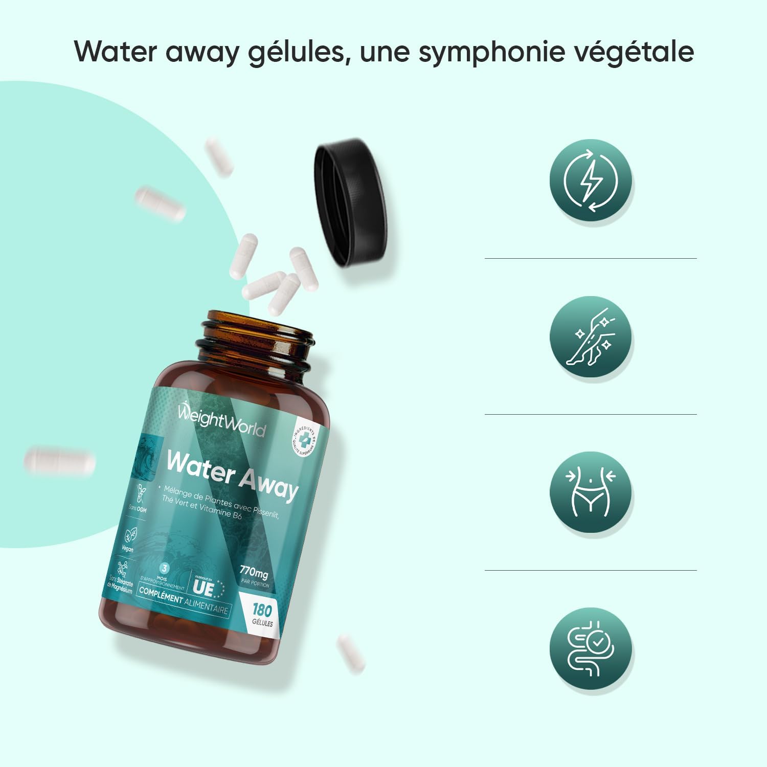 Water Away Drain Water – 180 Vegan Capsules (3 Months) – Plant Mix with 11 Ingredients: Dandelion, Green Tea, Apple Vinegar, Potassium, Non-GMO Vitamin B6 and Magnesium Stearate. - Image 8