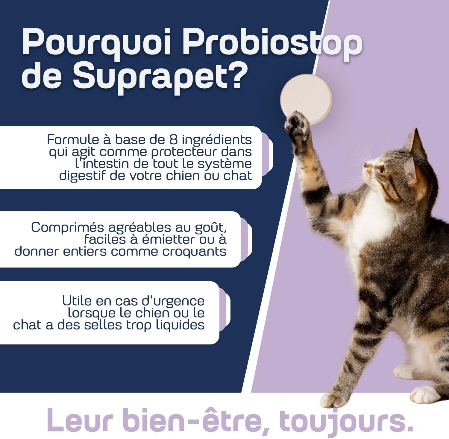 Suprapet Probiostop Probiotics for Dogs and Cats 30 Tablets - Fights Diarrhea and Digestive Disorders - Support for Bacterial Flora of the Gut. - Image 4