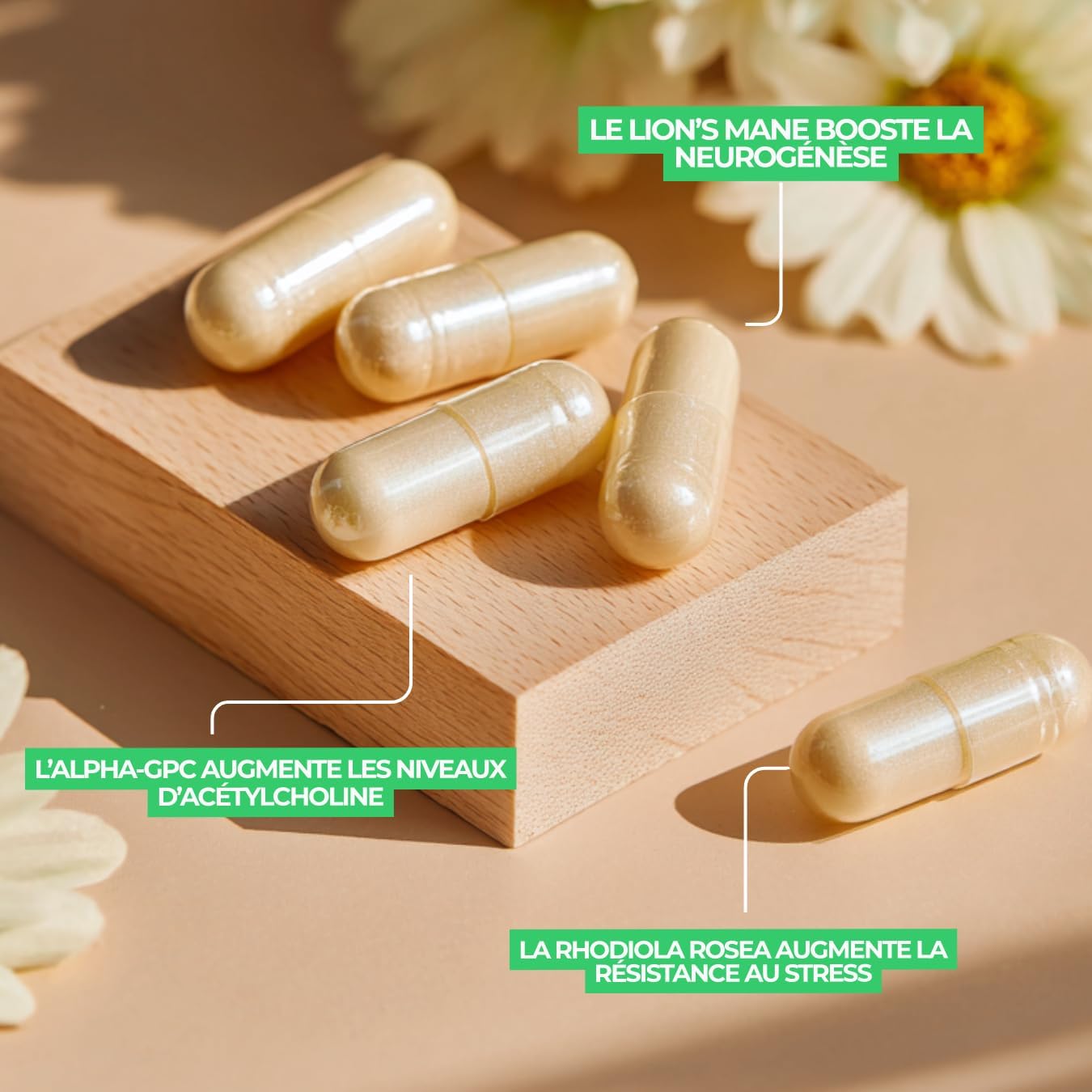 Nootropic Complex - Natural Supplement - Powerful and Minimalist Formula - Image 4