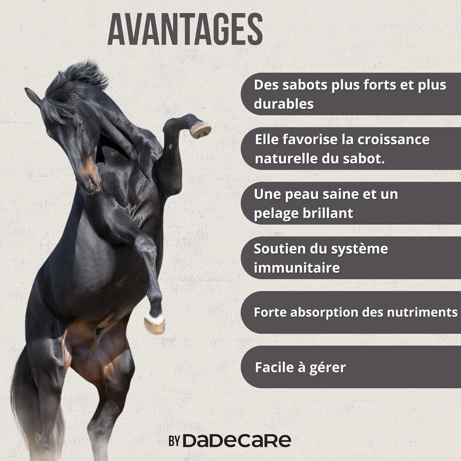 Hoofcare Biotin & Zinc for Horse Helmets 750g - Strong Clogs & Natural Growth - Ideal for Fragile Helmets, Coat Change & Sporty Horses - Hoof & Skin Care - Image 4