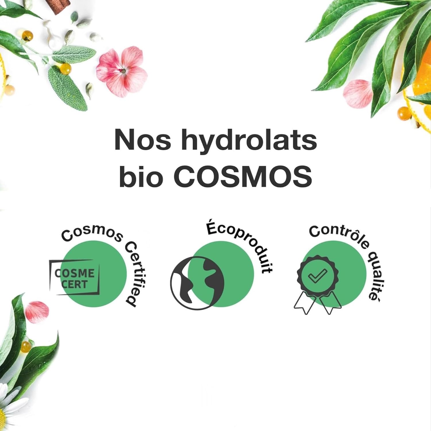 VOSHUILES - Roman Chamomile Hydrosol COSMOS - Soothing and Sweet Floral Water - Delicate Honey Fragrance - Reactive Skin Care for Face and Body - 100 ml - Image 5